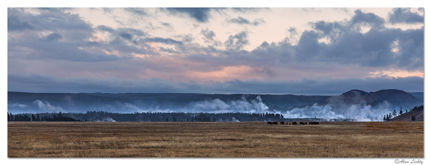 Lower Geyser Basin Overlook