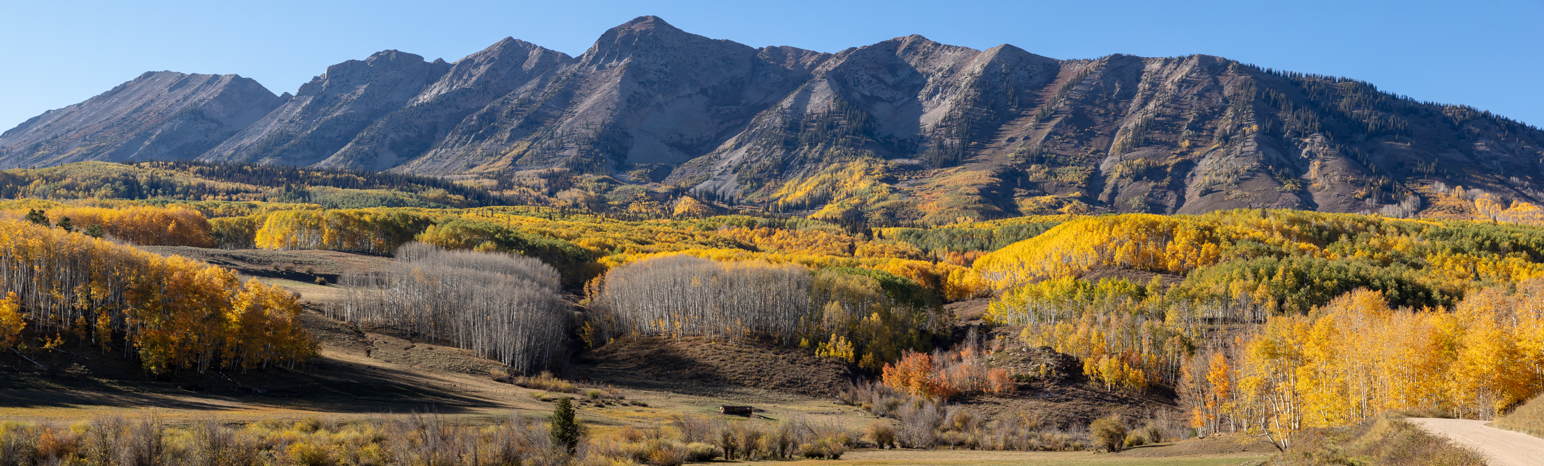 LRCC_AspenVarietyPano_sRGB_FW_sRGB_TAP46432_stitch.jpg