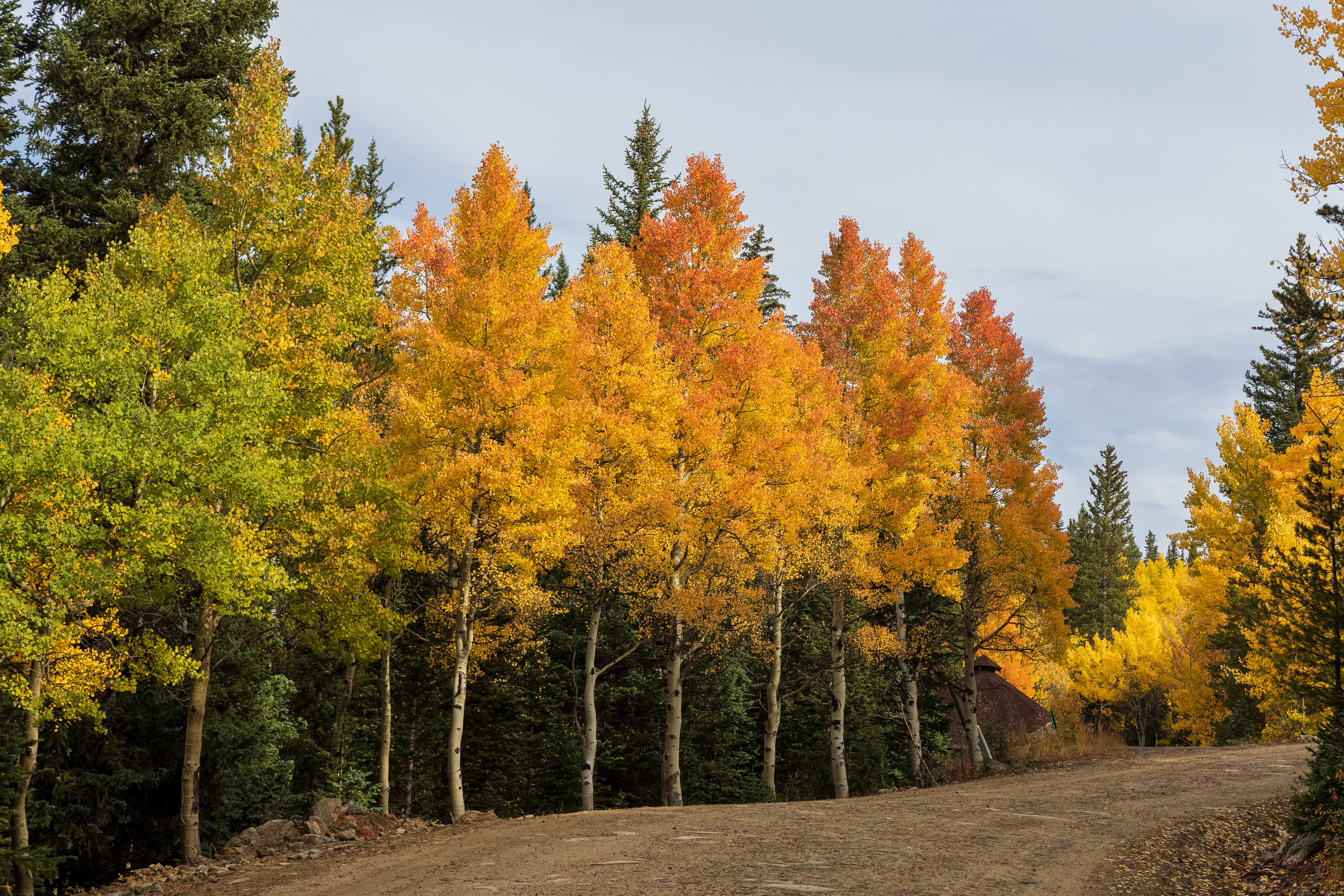 LRCC_sRGB_FW_AspenAvenue_TAP_9041.jpg