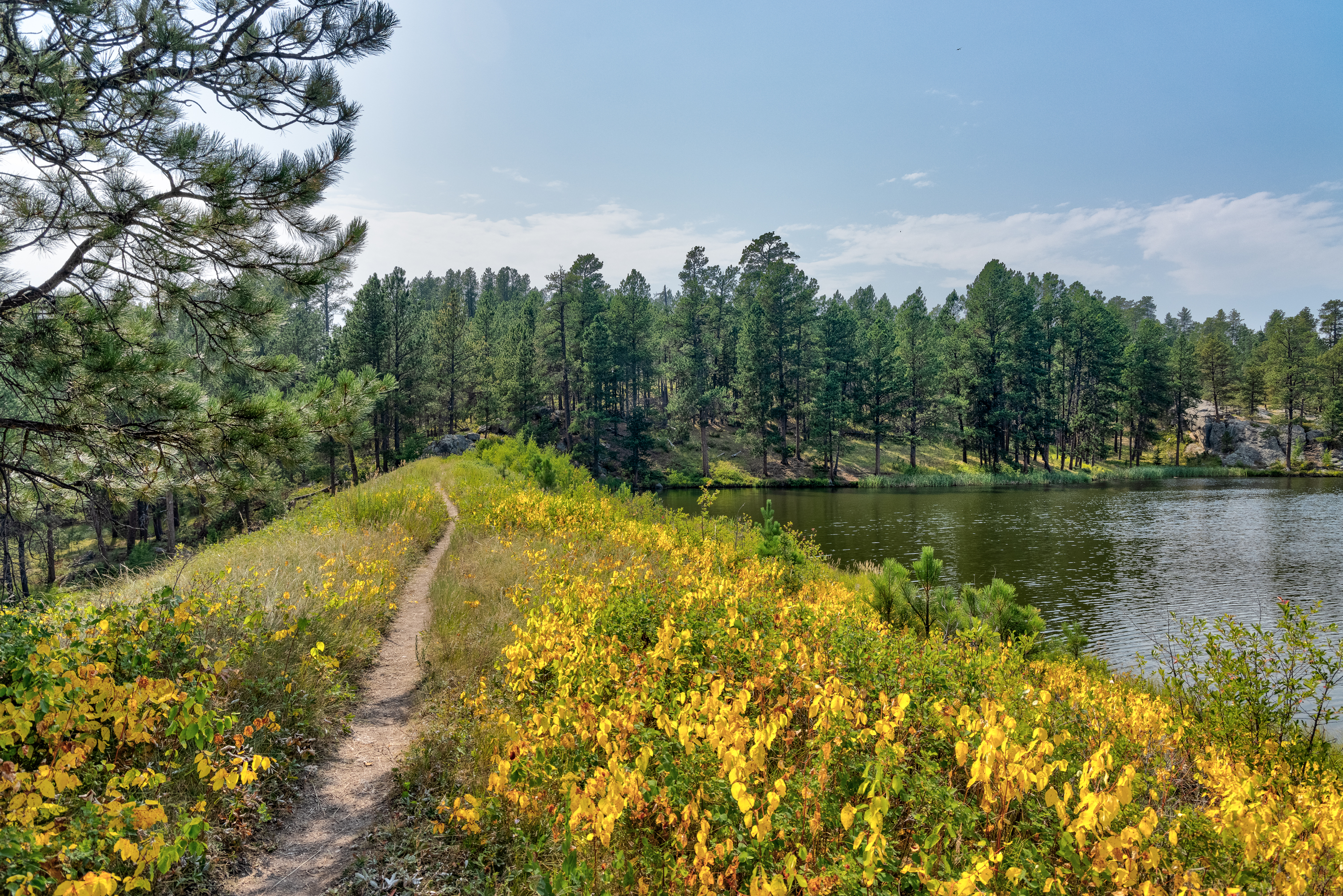 LRCC_sRGB_FW_BismarkLakePath_sRGB_TAP_8587_8_Balancer.jpg