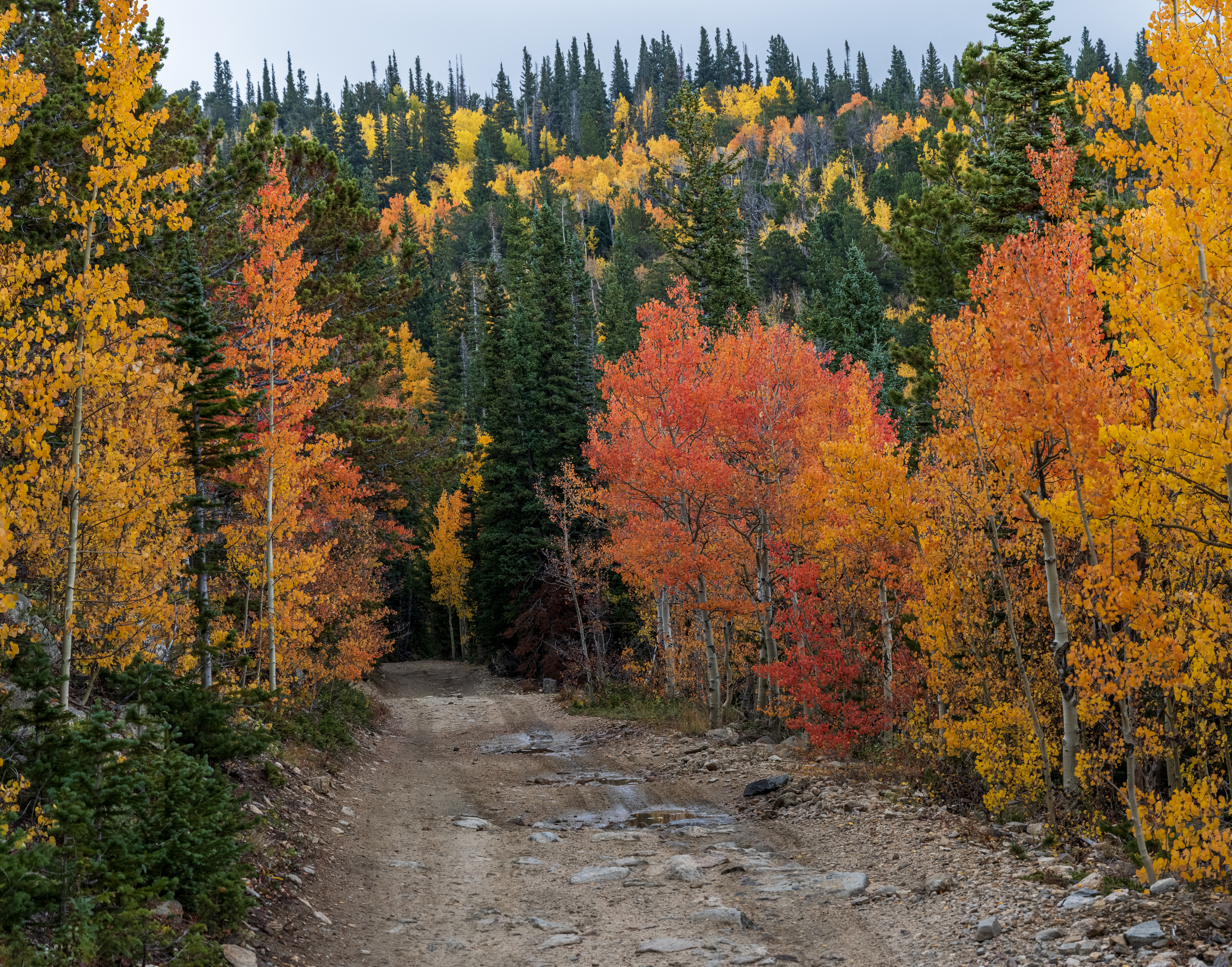 LRCC_sRGB_FW_ColorfulTrail_TAP_9124.jpg