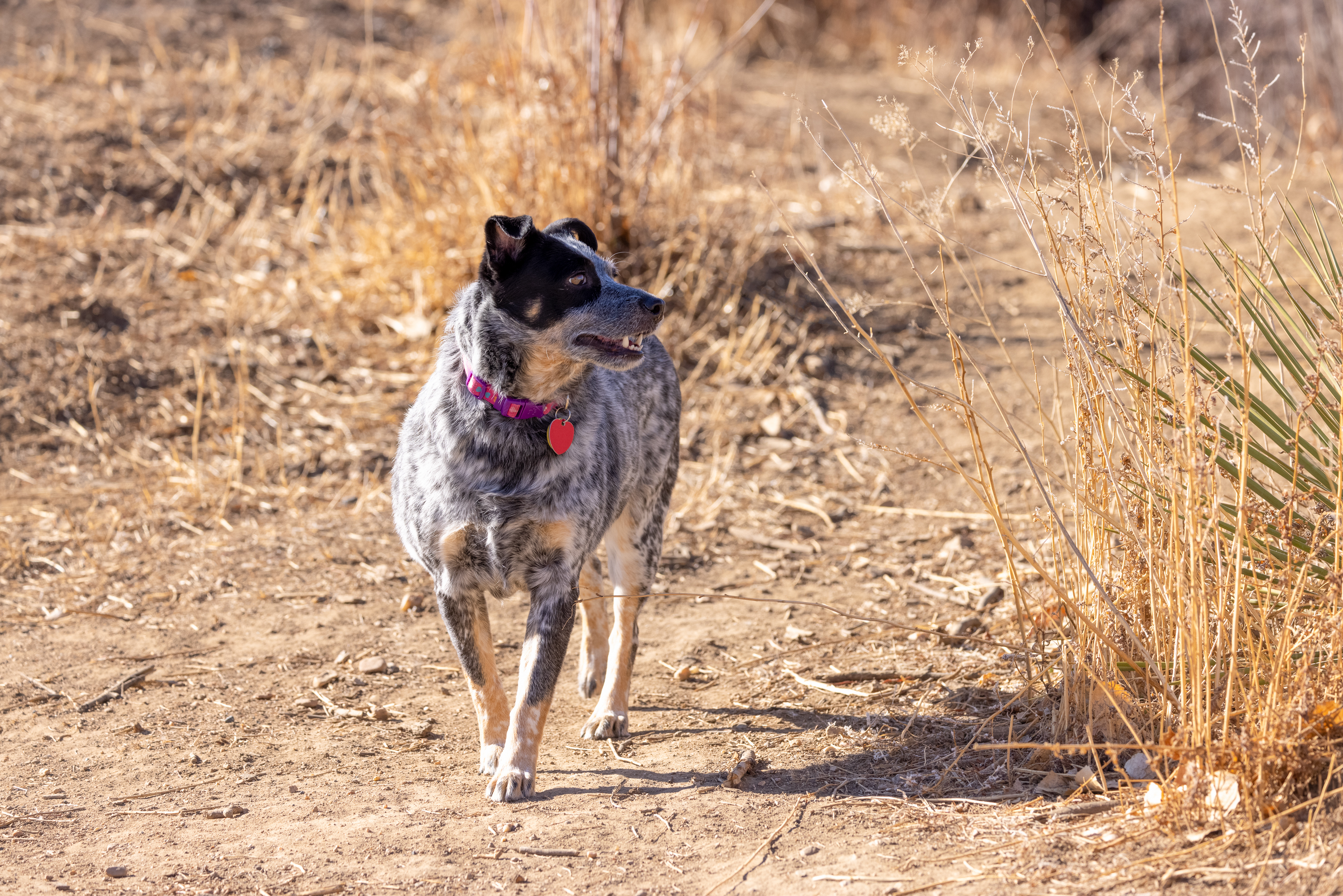 LRCC_sRGB_FW_Ellie_TAP_2215.jpg
