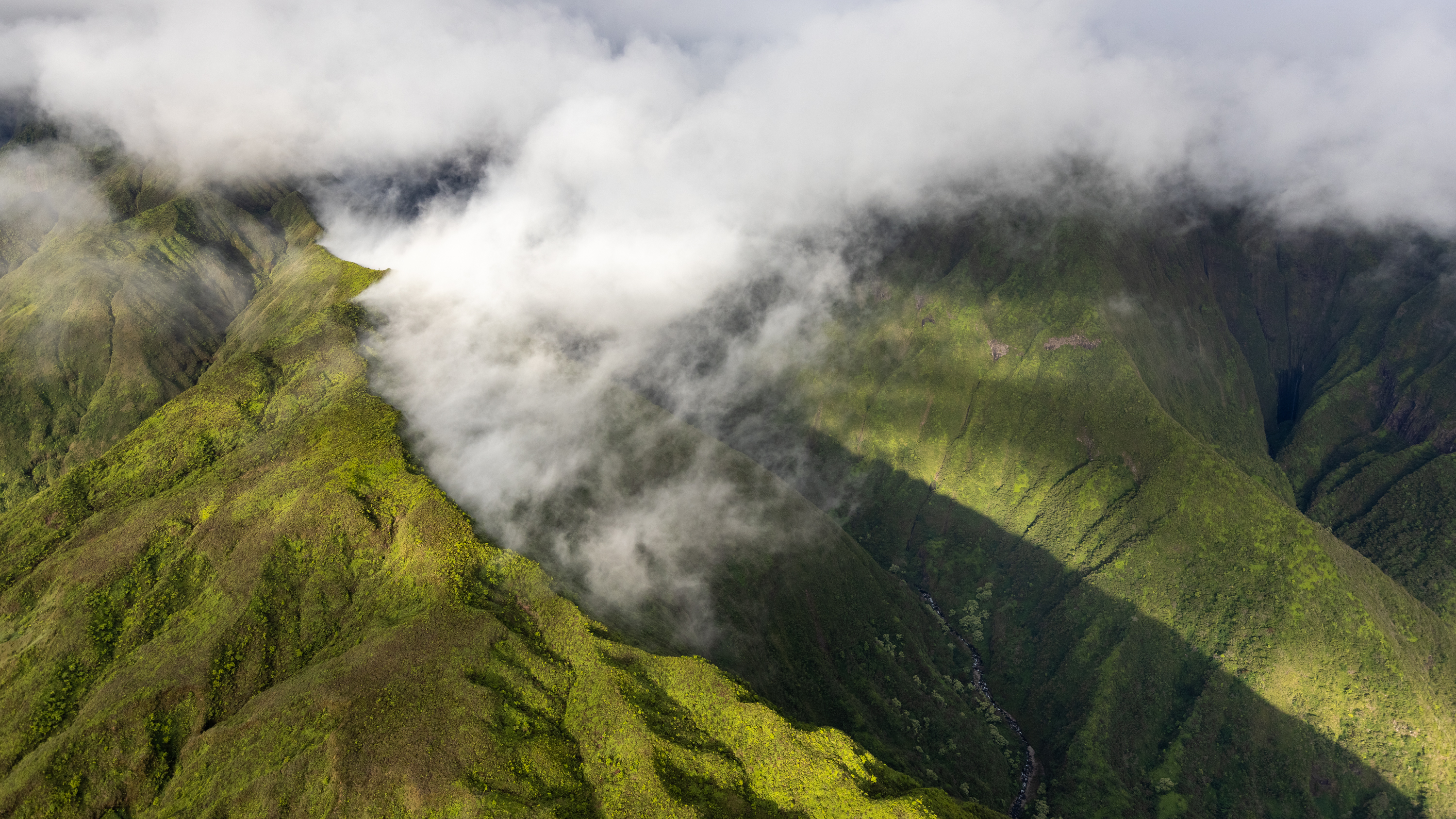 LRCC_sRGB_FW_JungleClouds_TAP_5674.jpg
