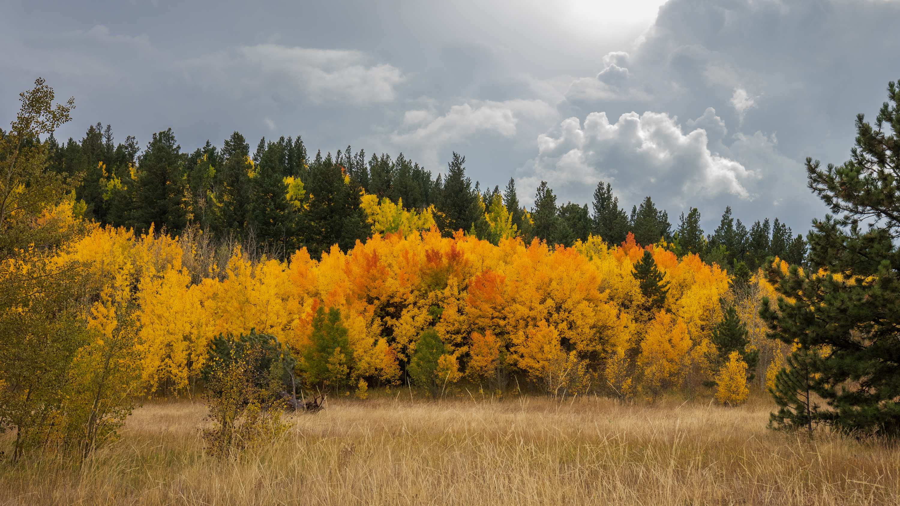 LRCC_sRGB_FW_OrangeStand_TAP_9149.jpg