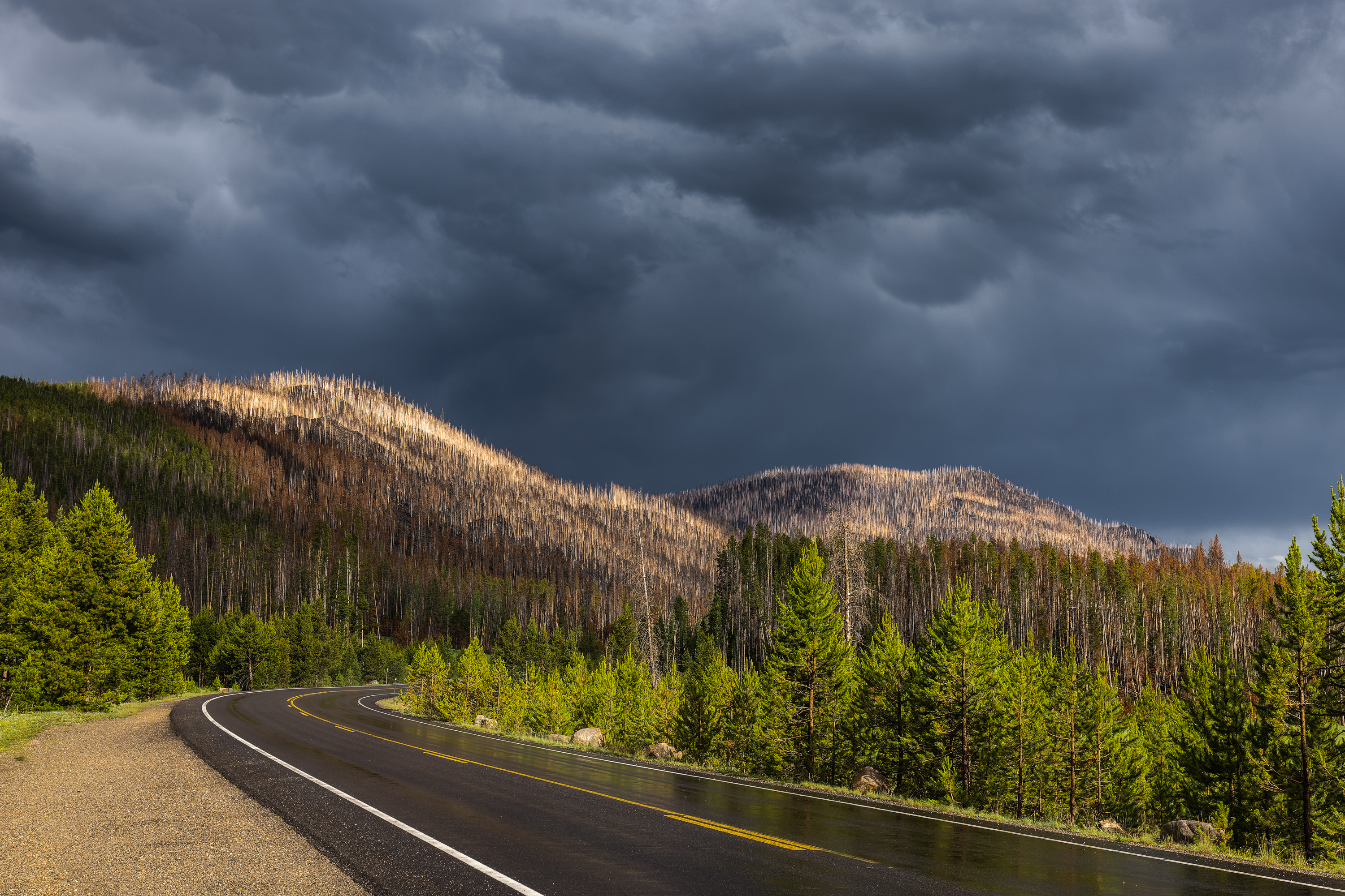 LRCC_sRGB_FW_RMNPDevastation_TAP_7287-CR3_DxO_DeepPRIME.jpg
