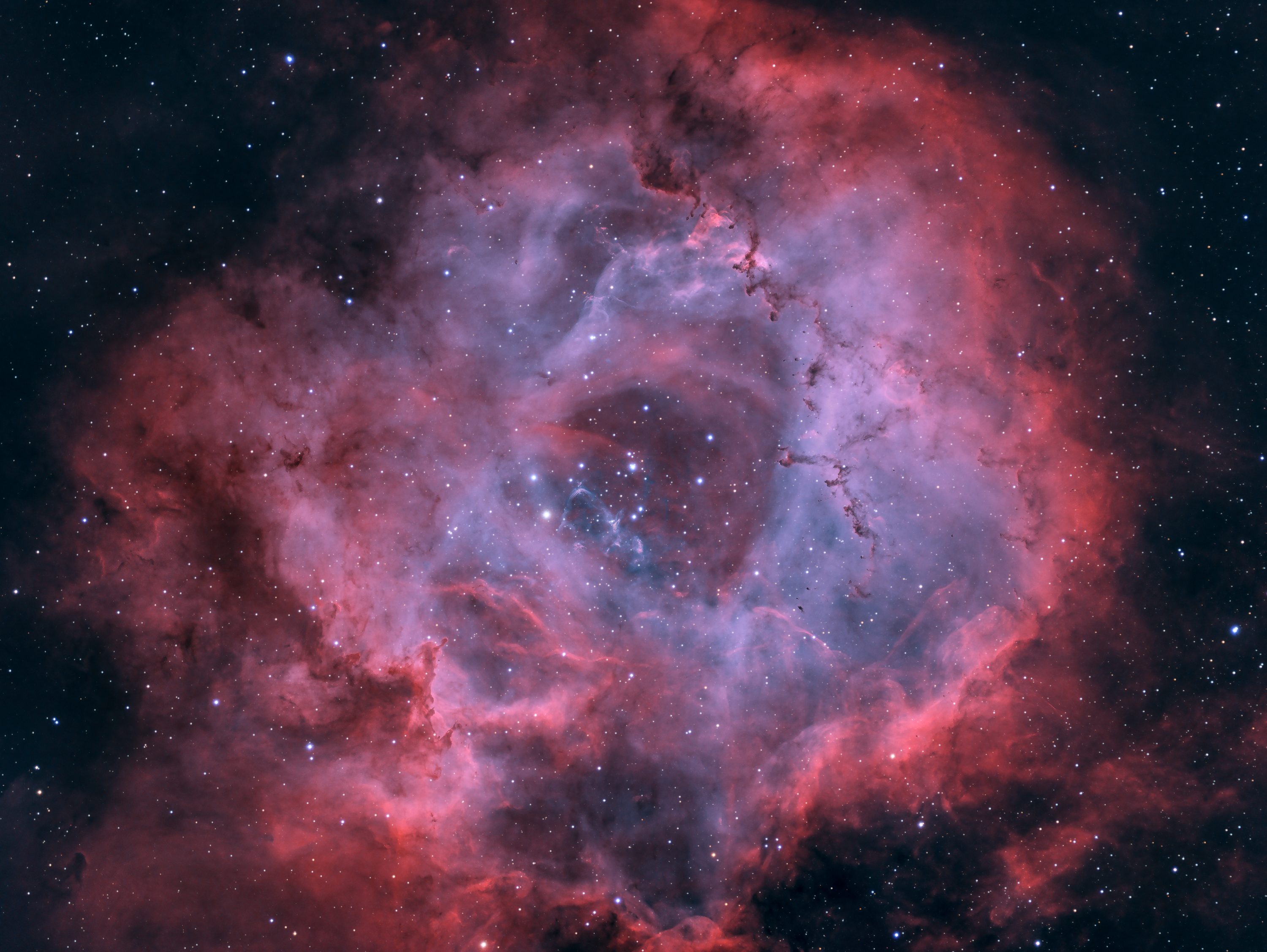 LRCC_sRGB_FW_Rosette_NBMixPSCC_HPS_SelC_PSCC_StarsFinal2-1_2x.jpg