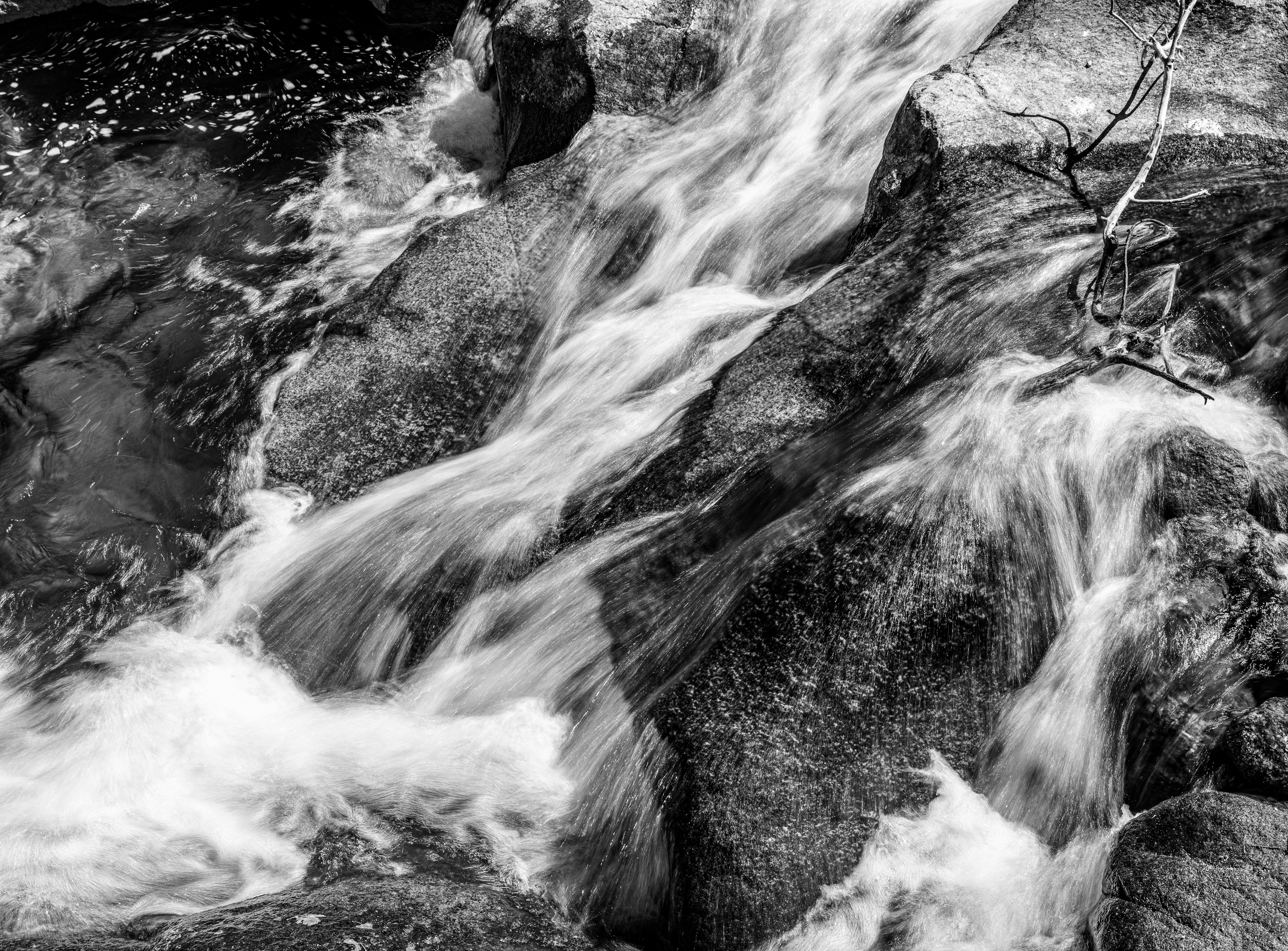 LRCC_sRGB_FW_SpringStream_BW_TAP_3712.jpg
