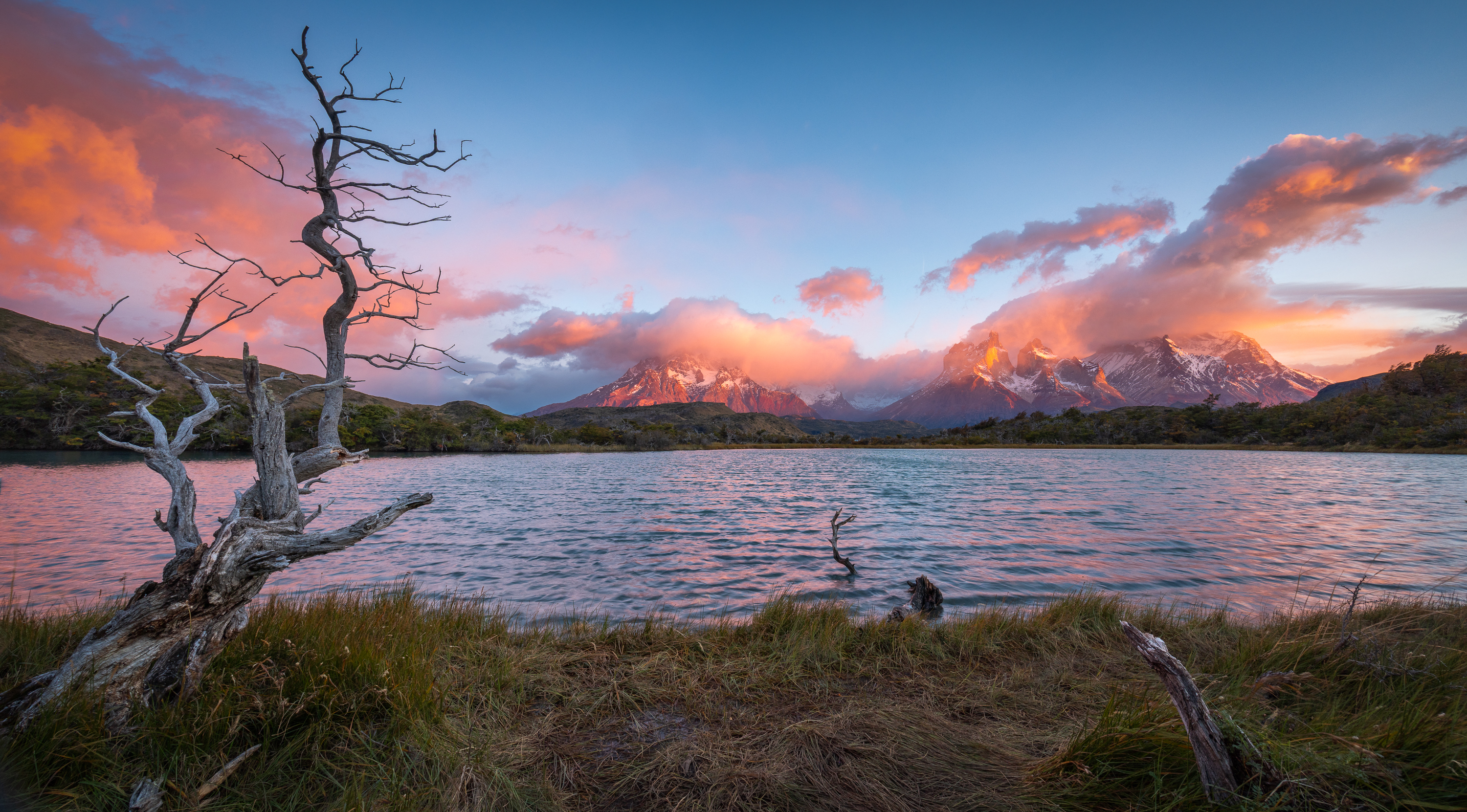 LRCC_sRGB_FW_TAP34618.jpg
