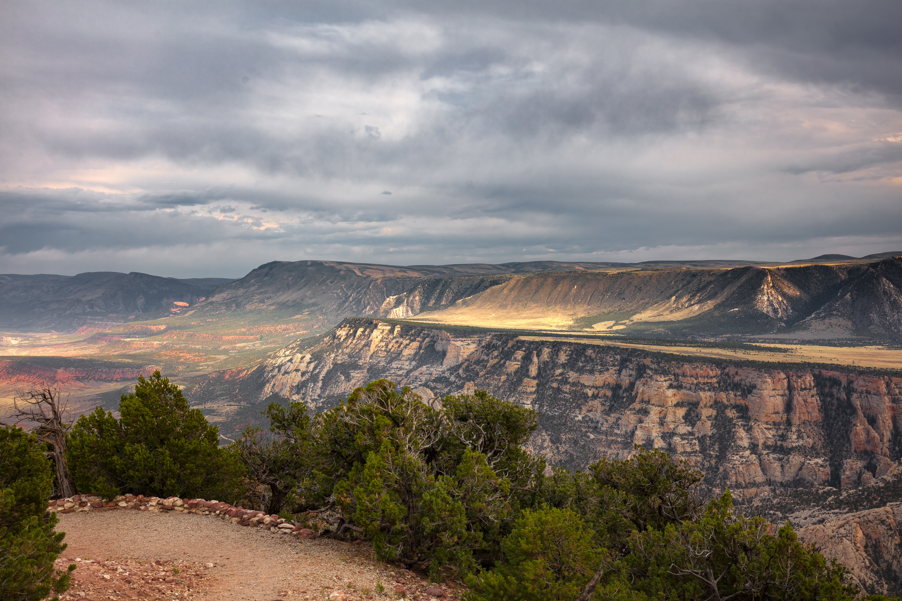 LRCC_sRGB_FW_TAP46099-Edit-3.jpg