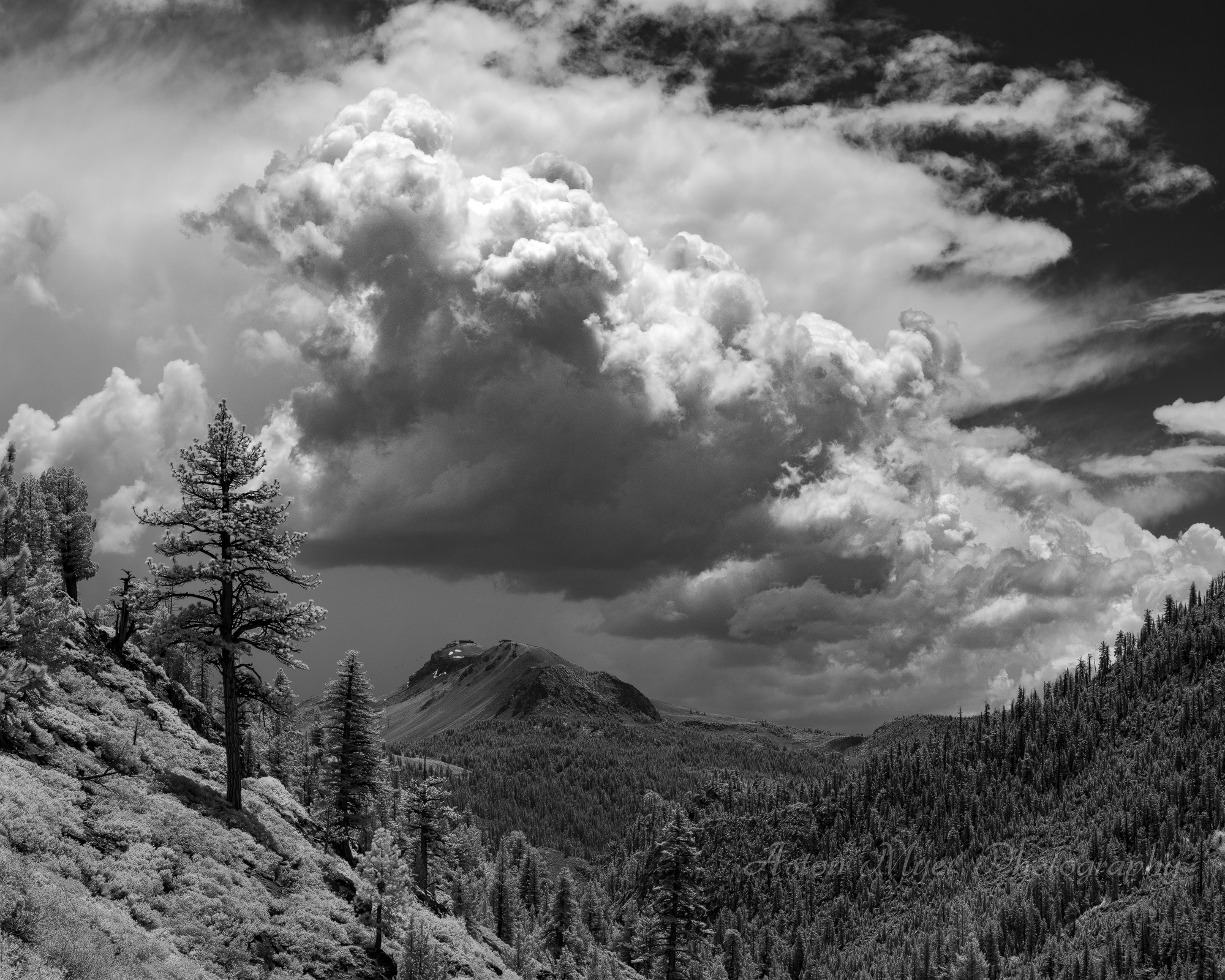 Mammoth Thunderstorm.jpg