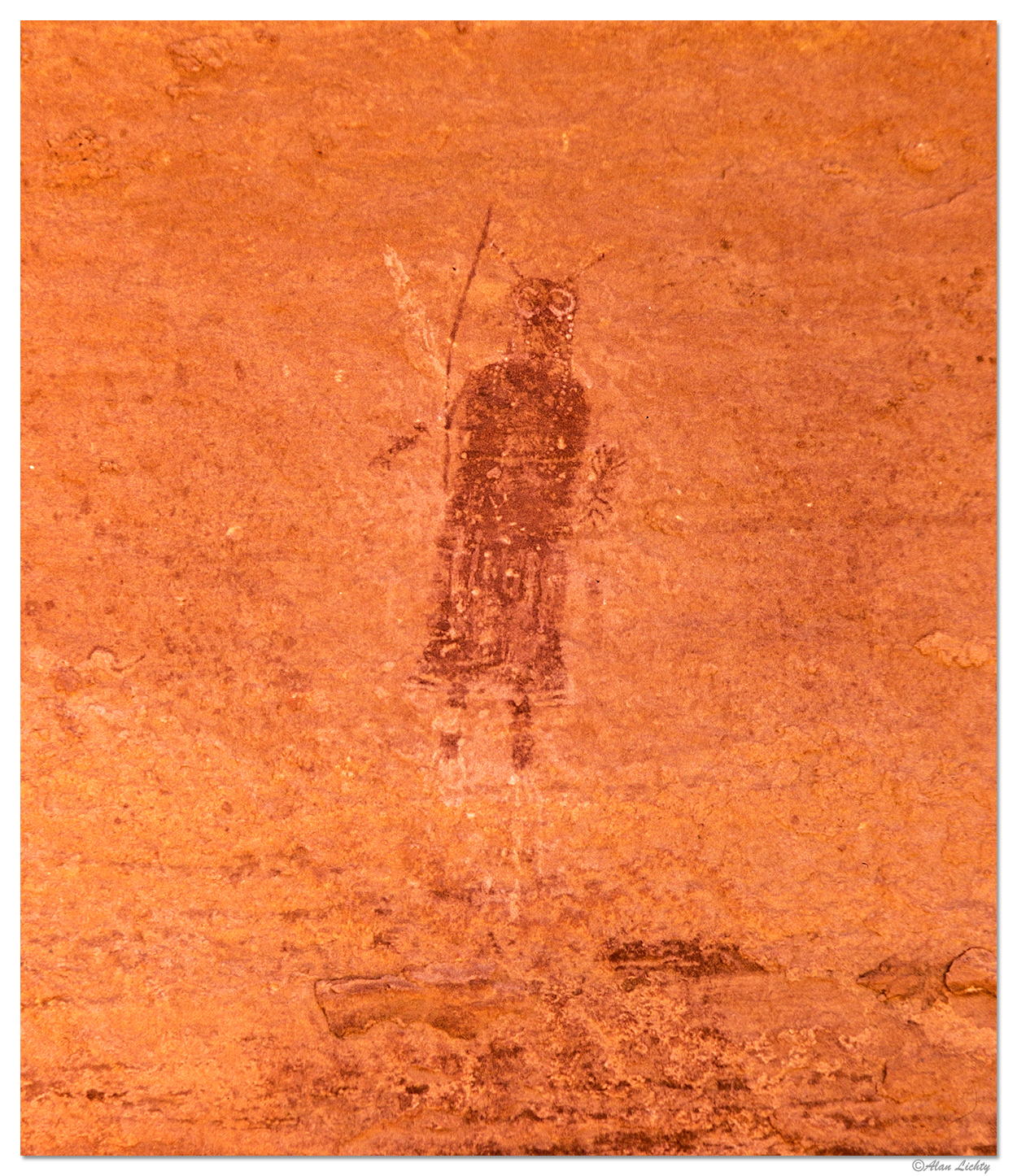 Maze Rock Art