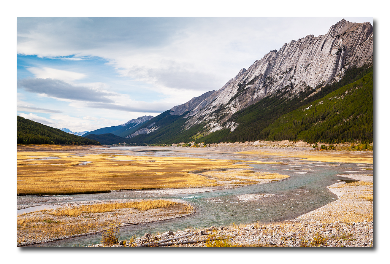 Medicine for the Soul