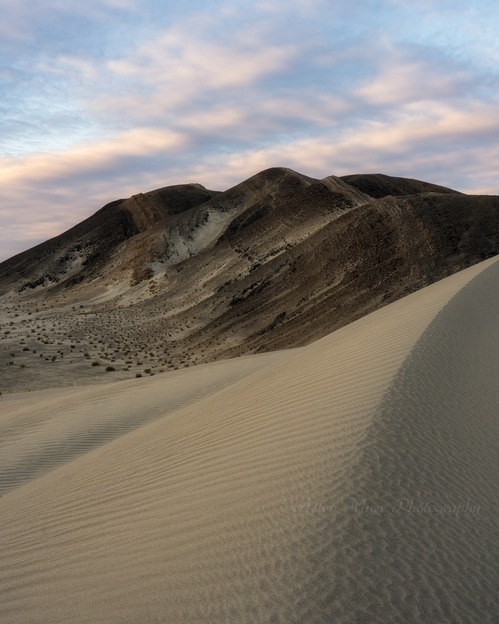 Mellow Desert Wind.jpg