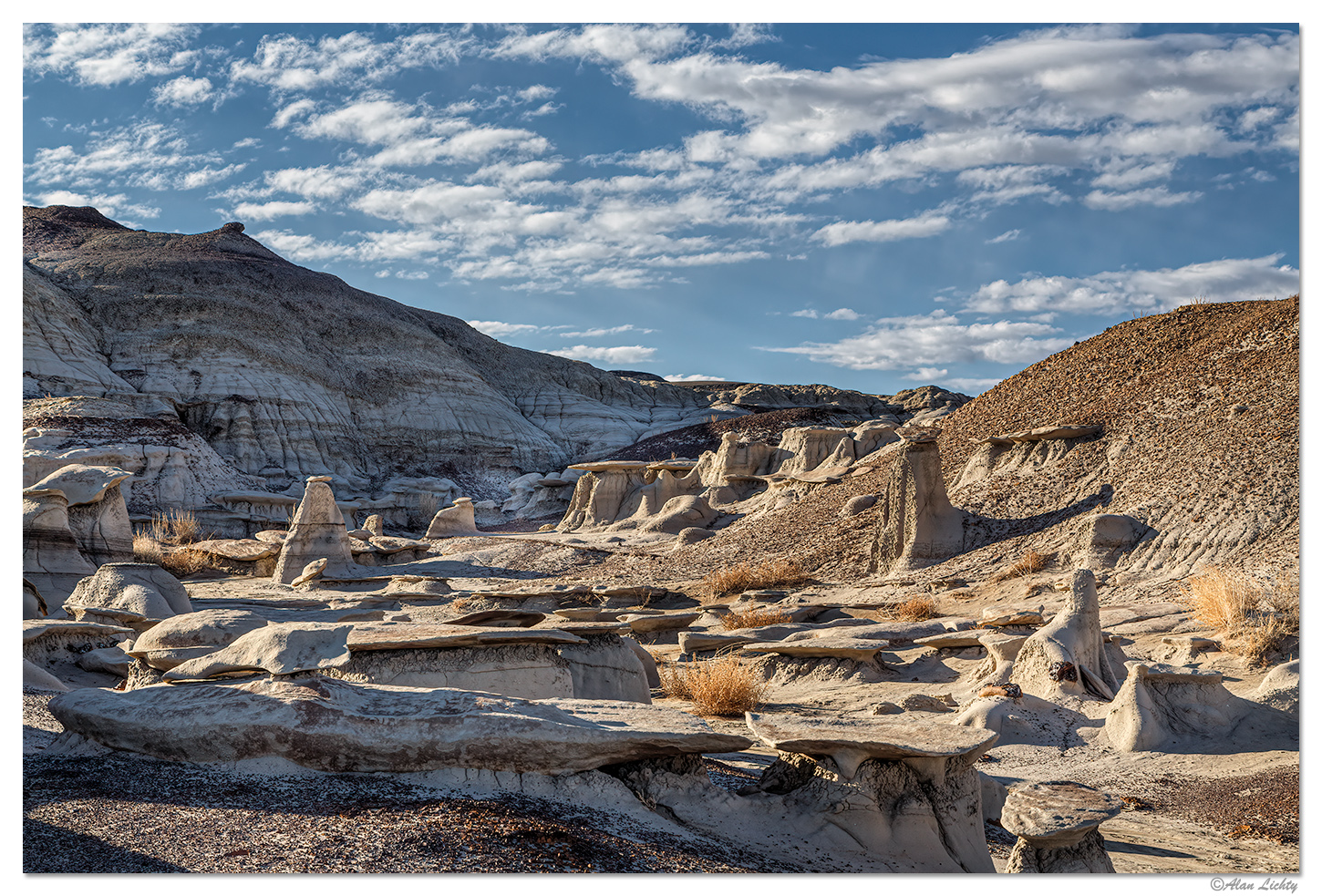 Morning Bisti