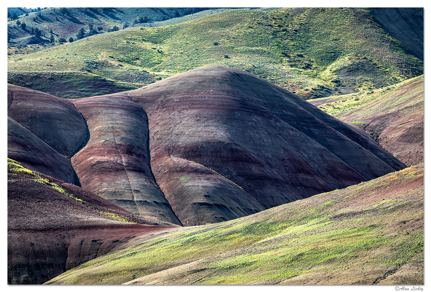 Morning Light at the Painted Hills