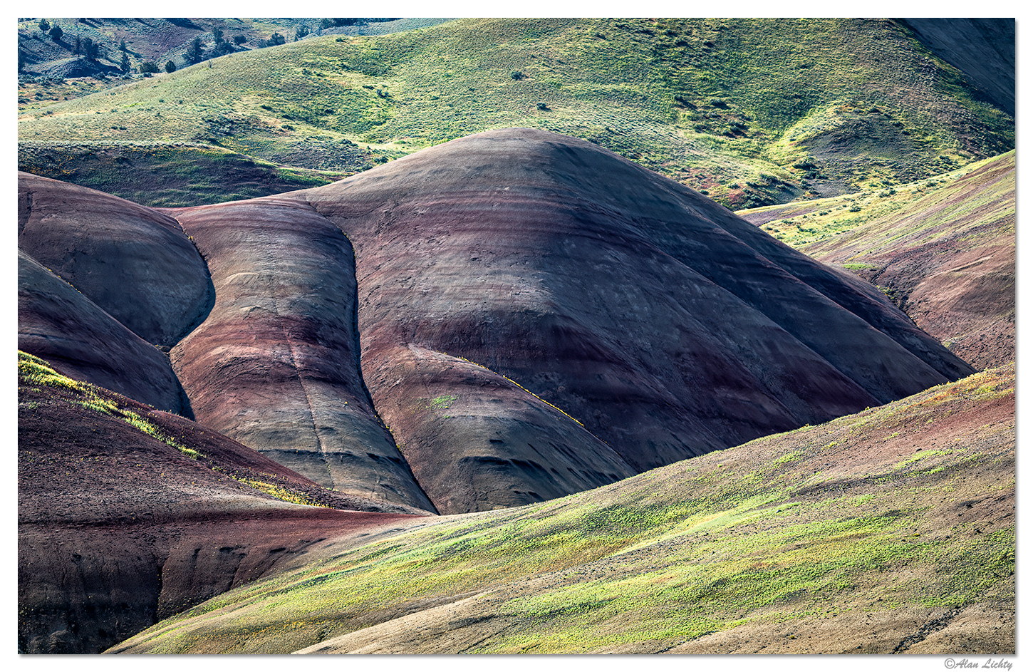 Morning Light at the Painted Hills