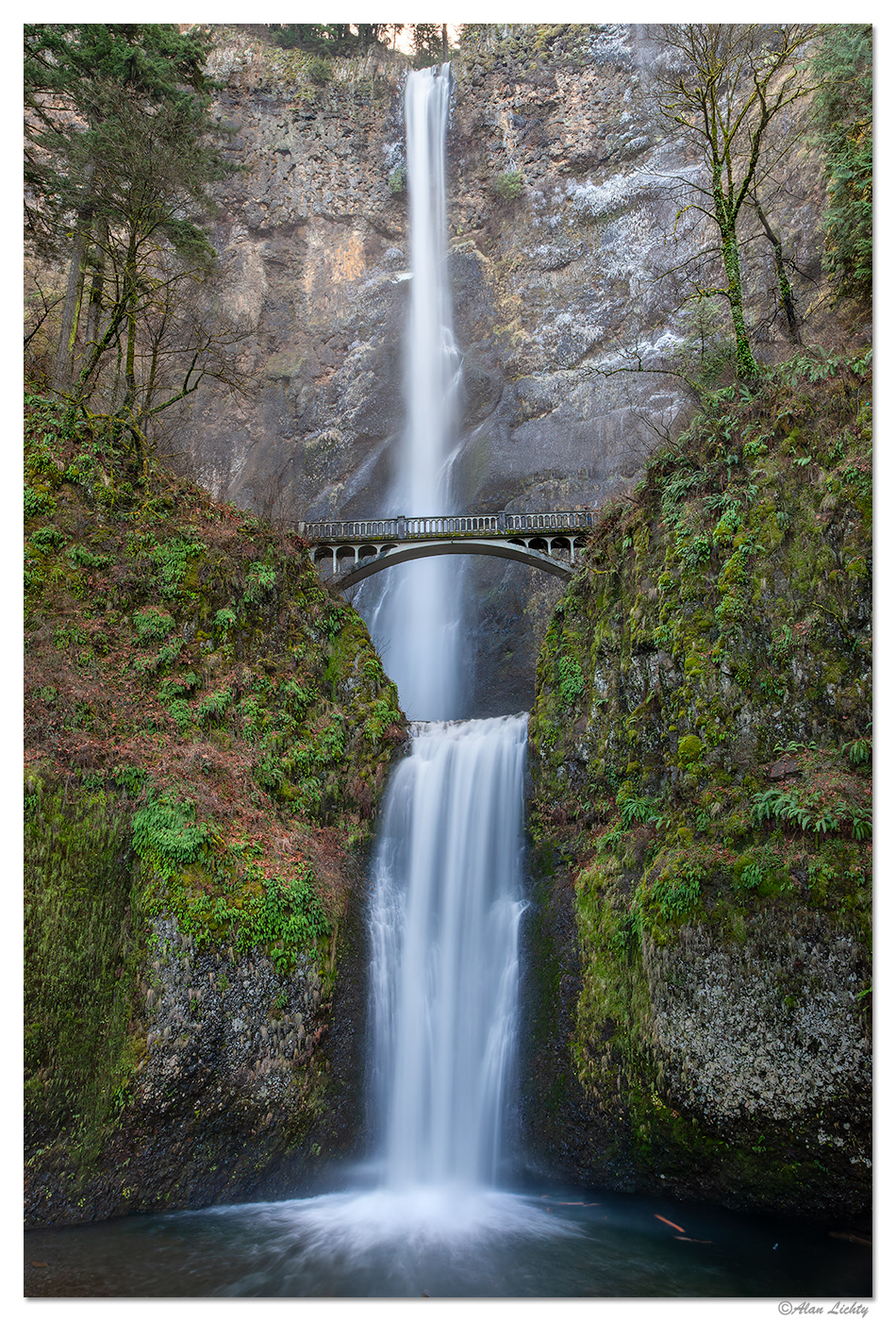 MultnomahXmas122509.jpg