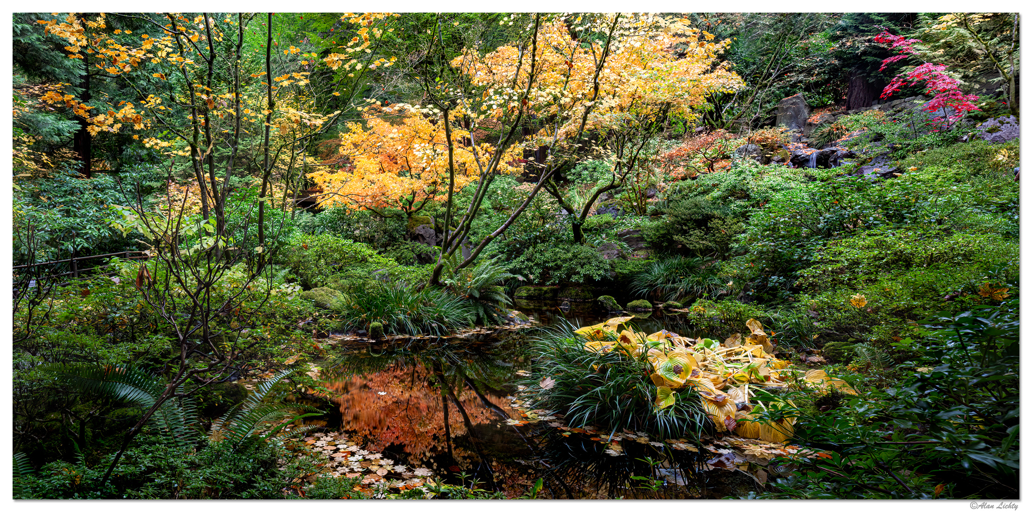 Natural Garden Pano