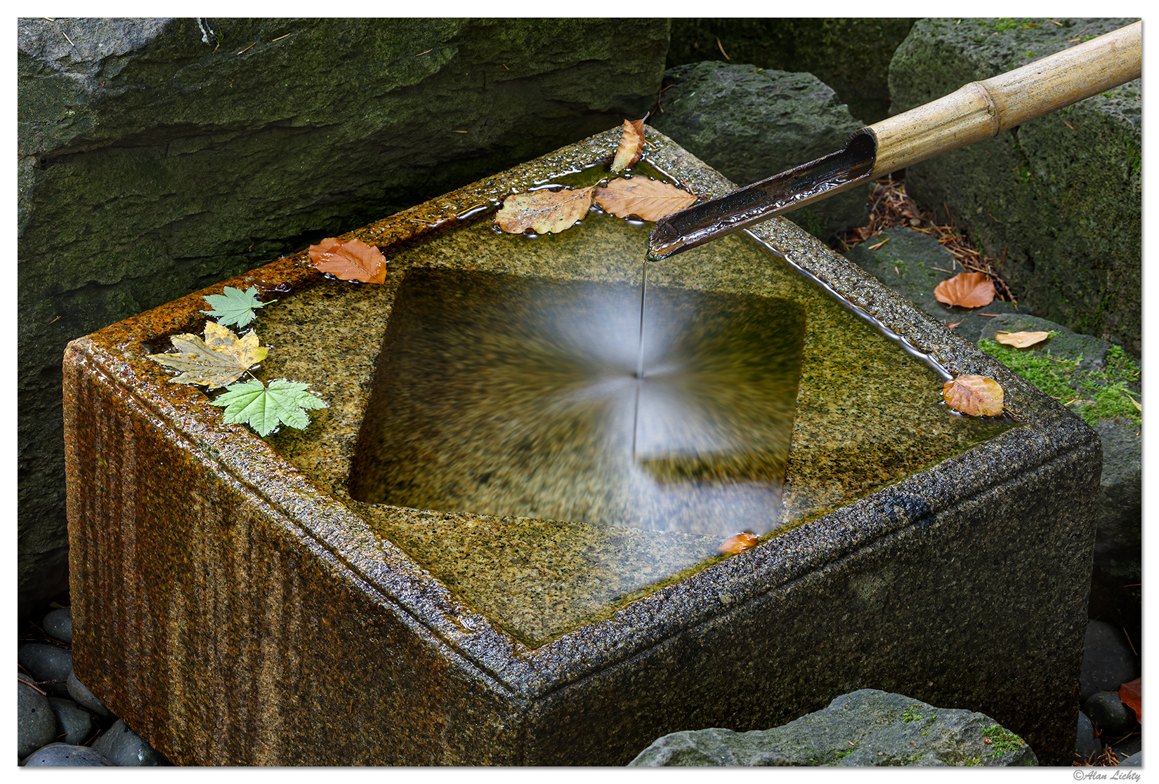 Natural Garden