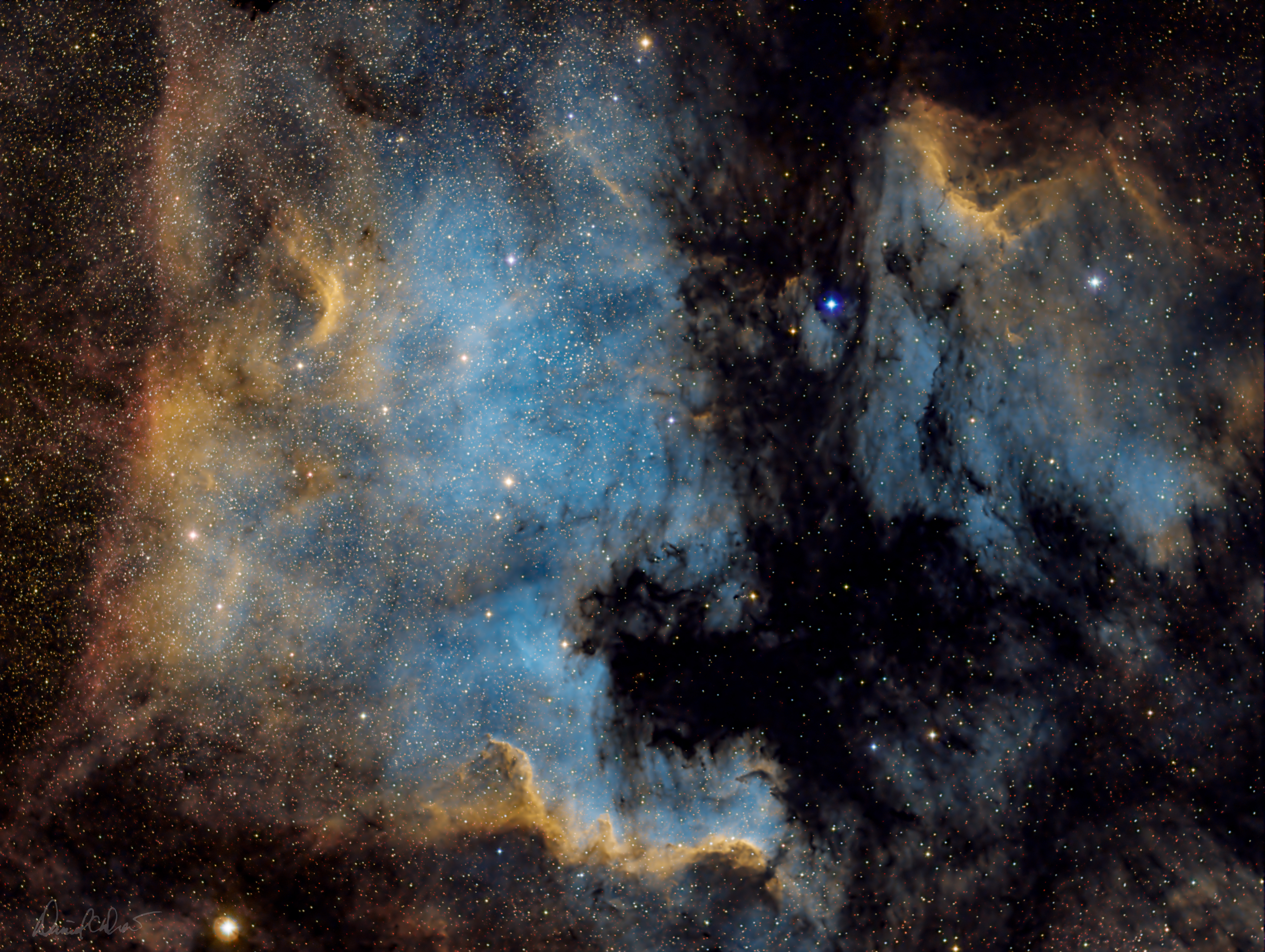 North America and Pelican Nebulae