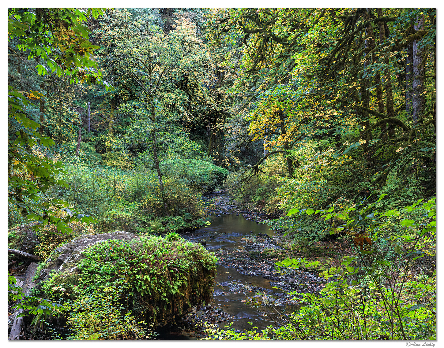 North Fork Silver Creek Trail