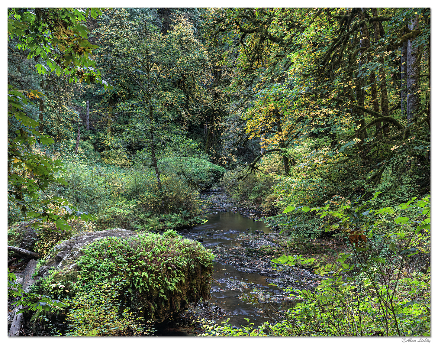 North Fork Silver Creek Trail