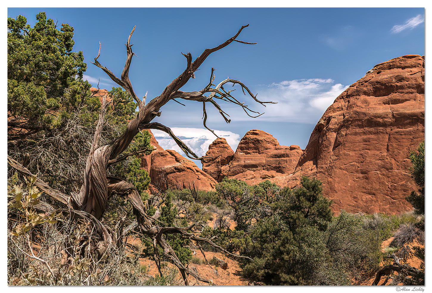 Off the Beaten Trails
