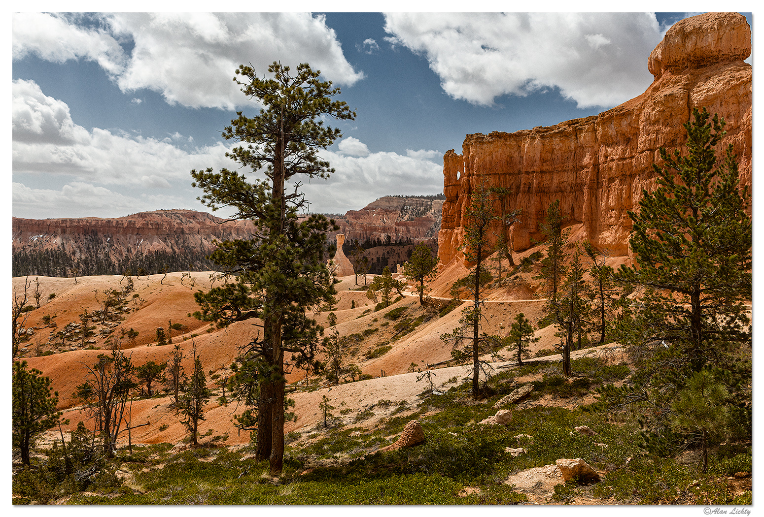 Off to see the Queen