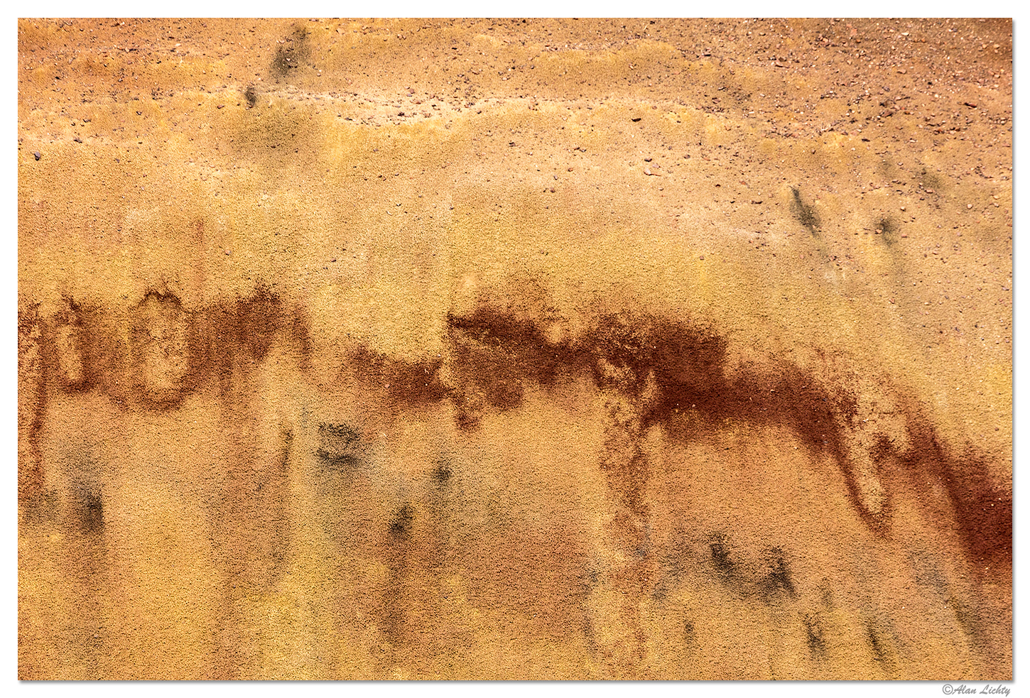 Painted Abstract