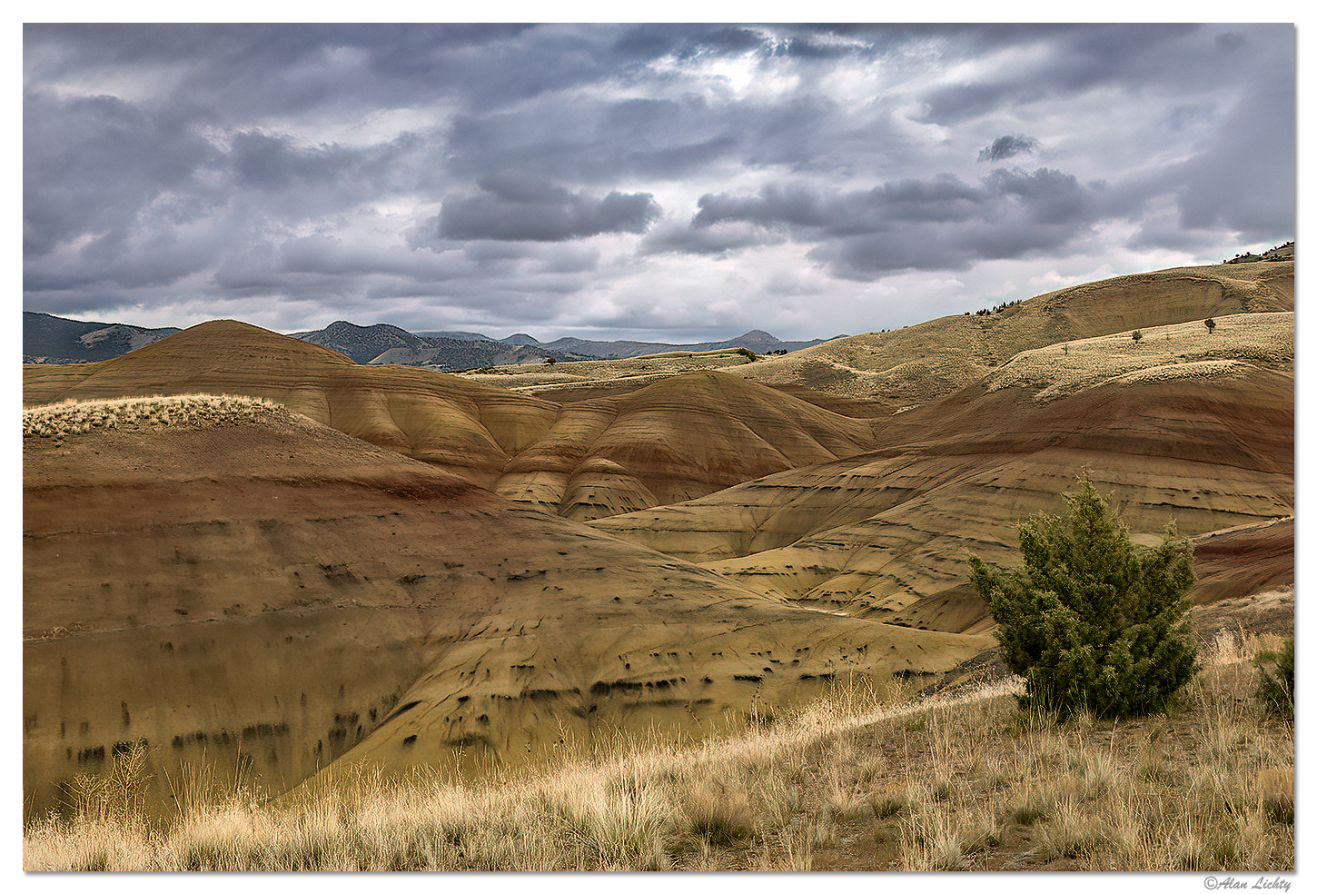 Painted Hills Gold