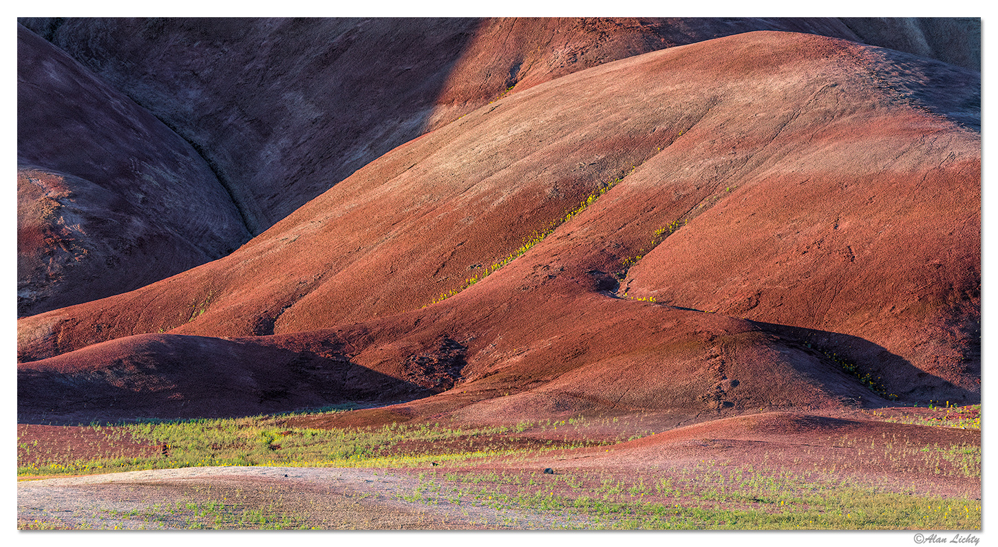 Painted Hills in Morning Light