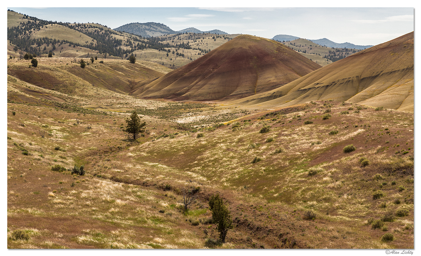 Painted Hills Springtime