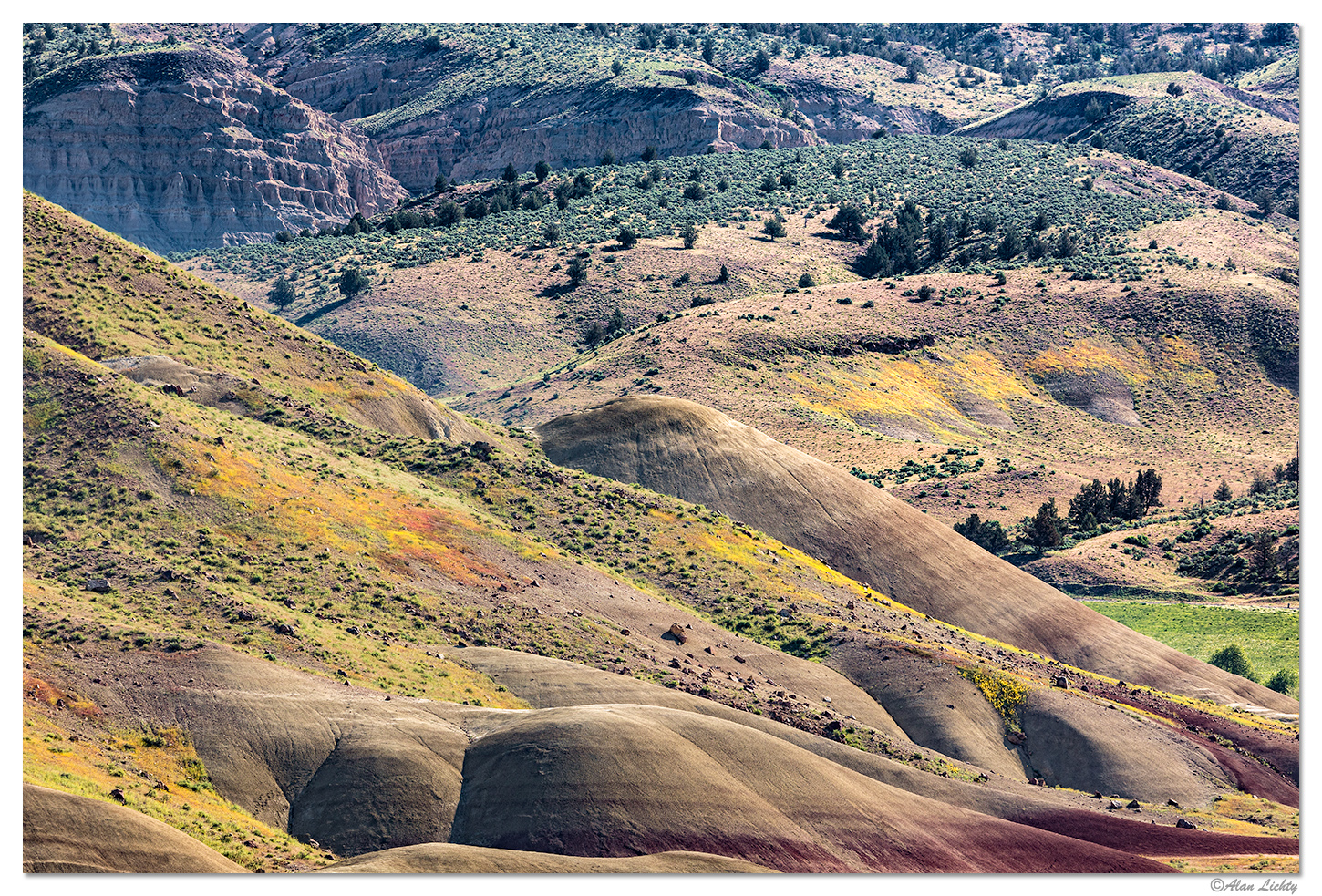 Painted Hills -The View Away