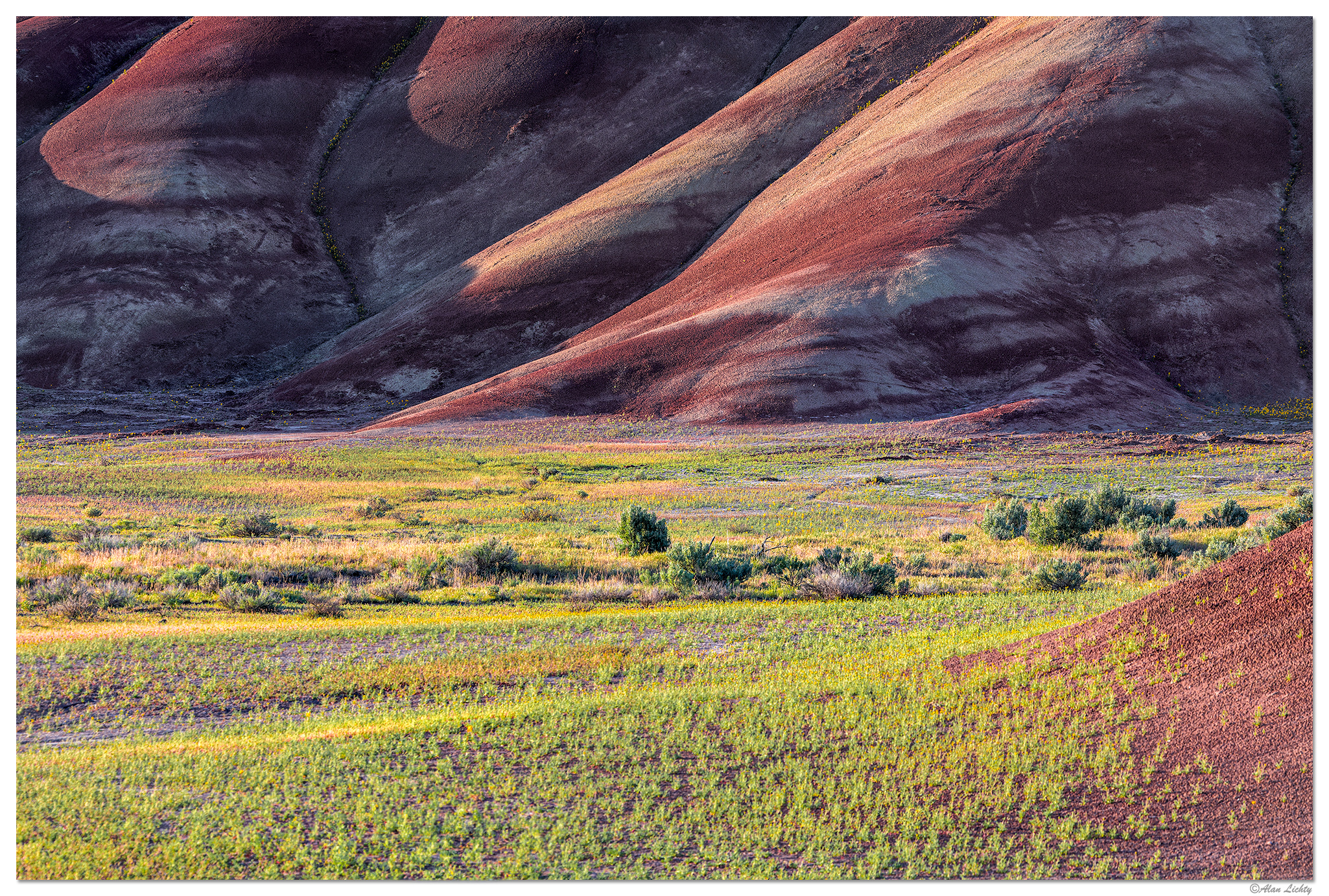 PaintedHillsMorning051119-2.jpg