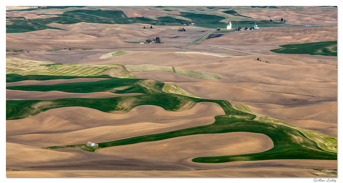 Palouse Hills
