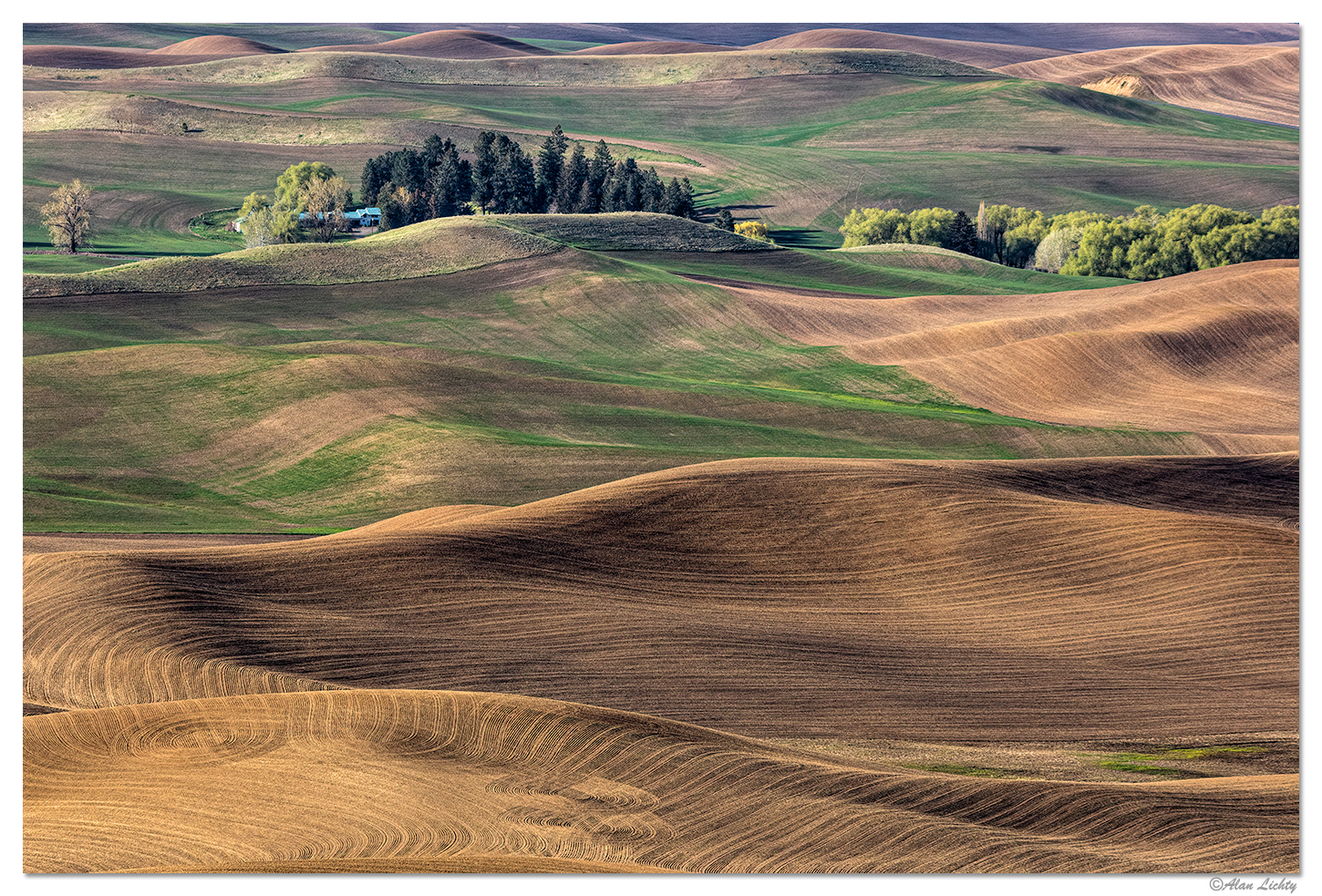 Palouse Terrain