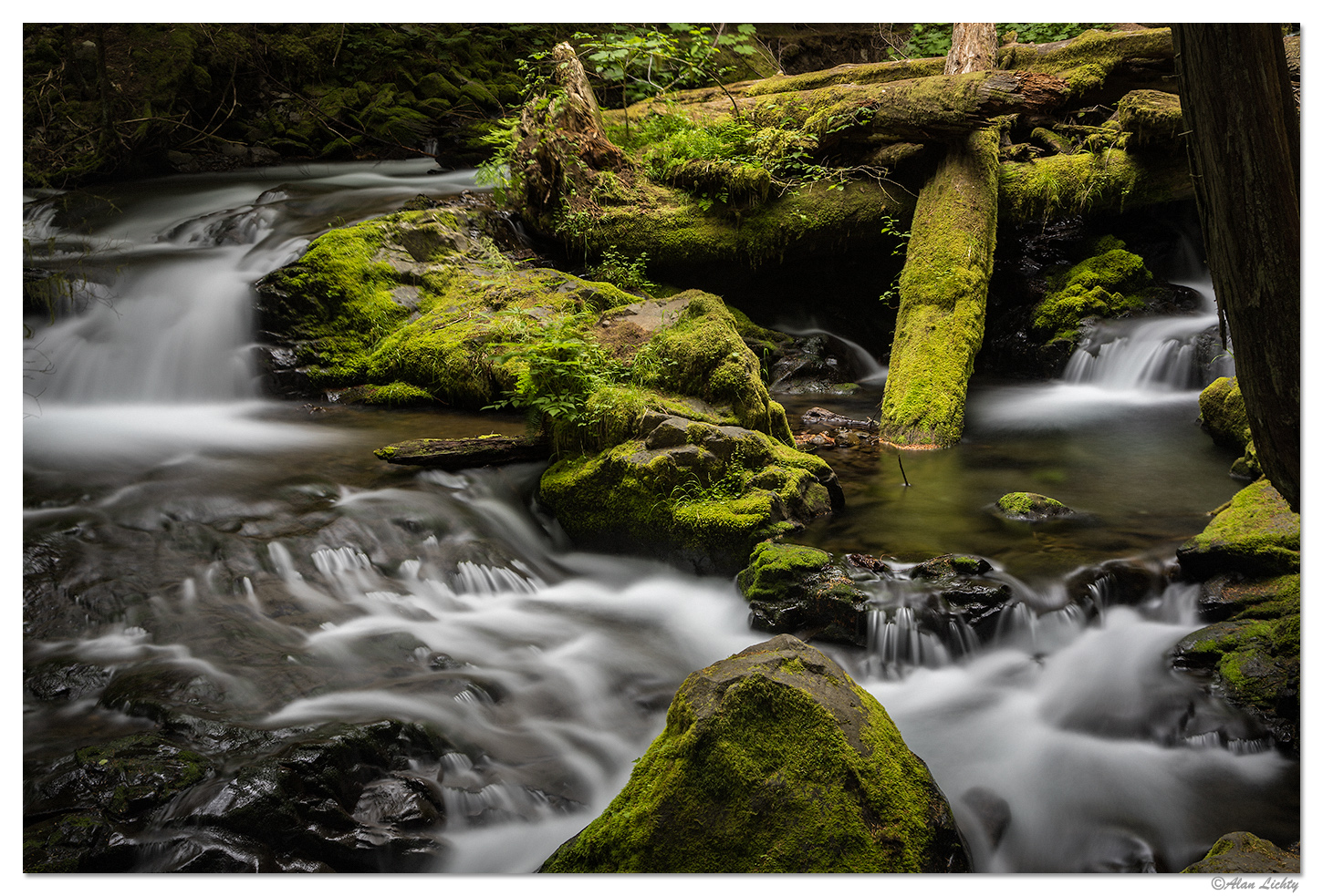 Panther Creek Above The Falls