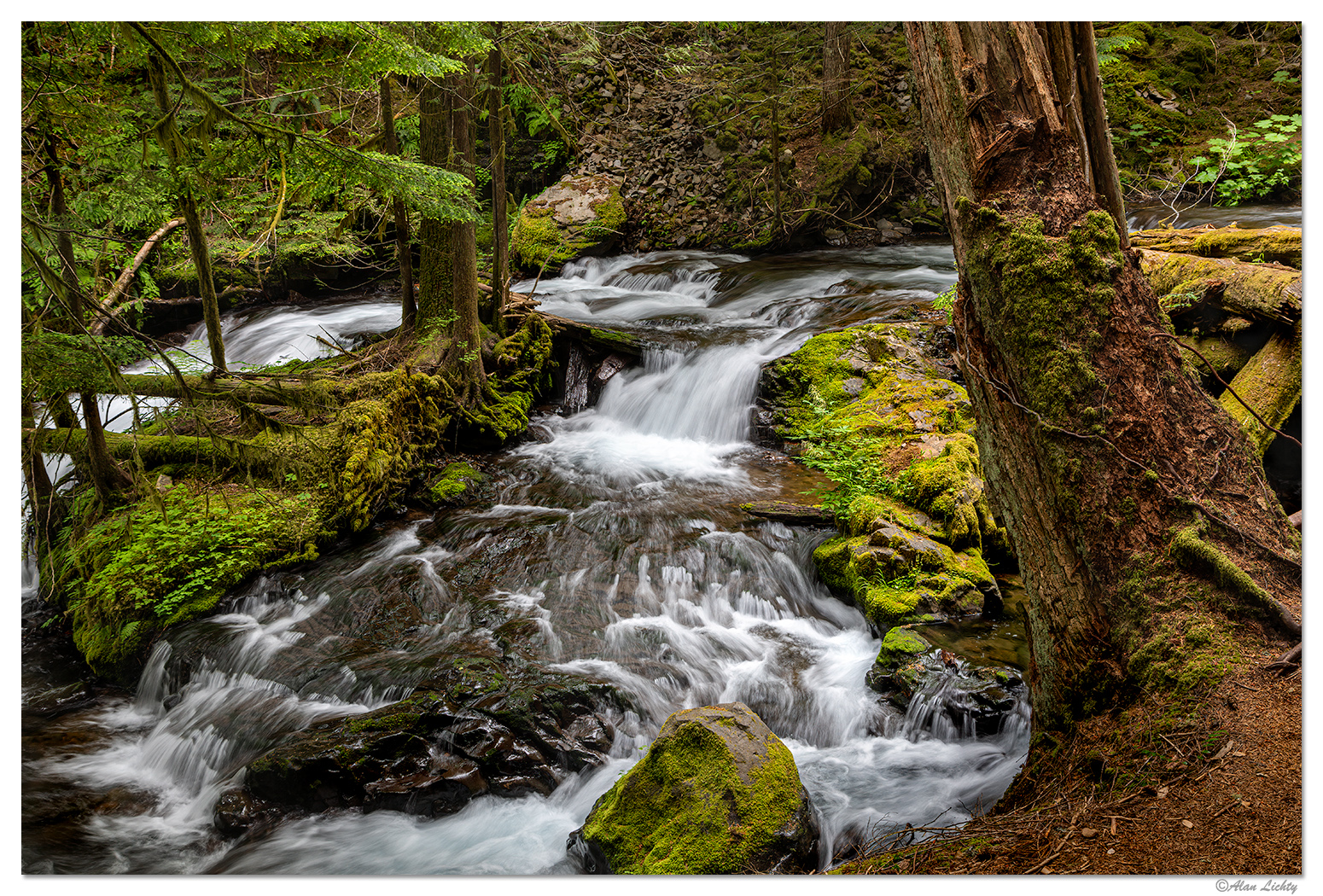Panther Creek