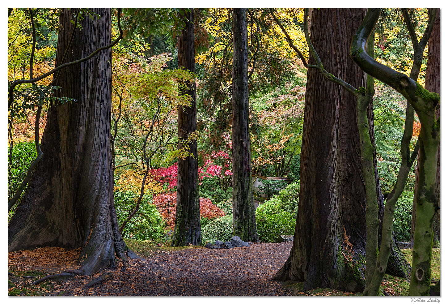 Pathway To Colors