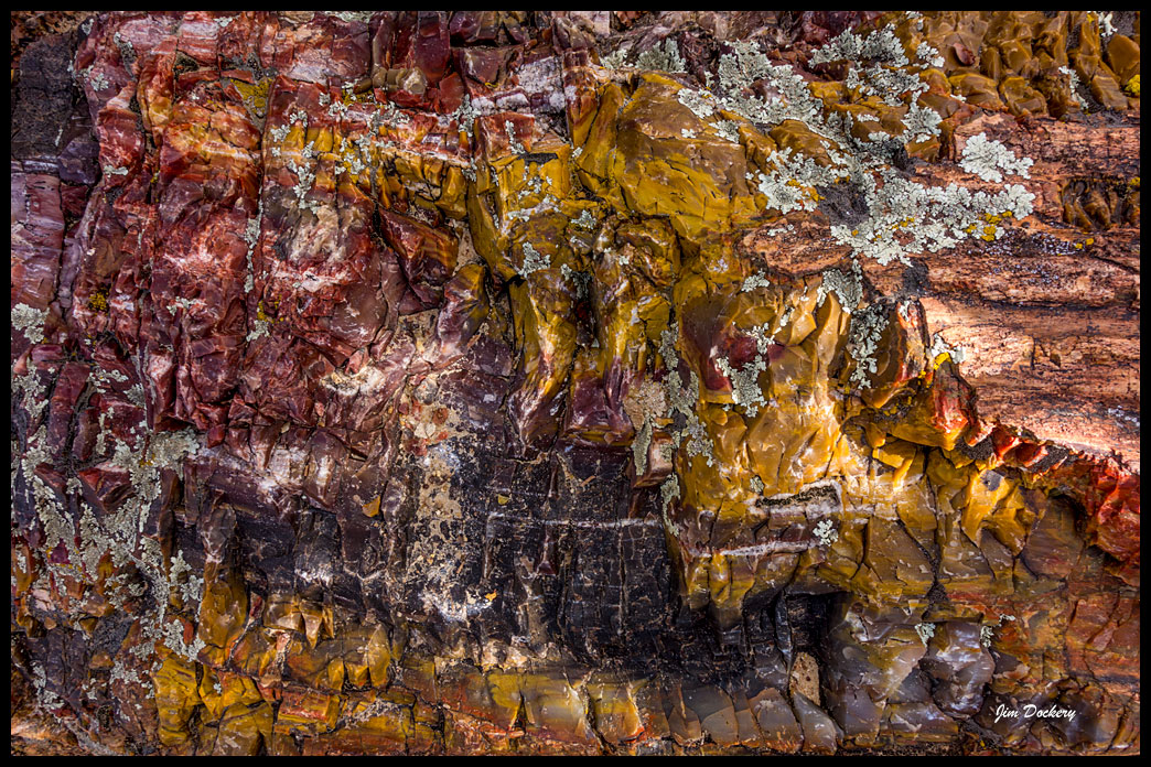 Petrified-Forest-RX_027