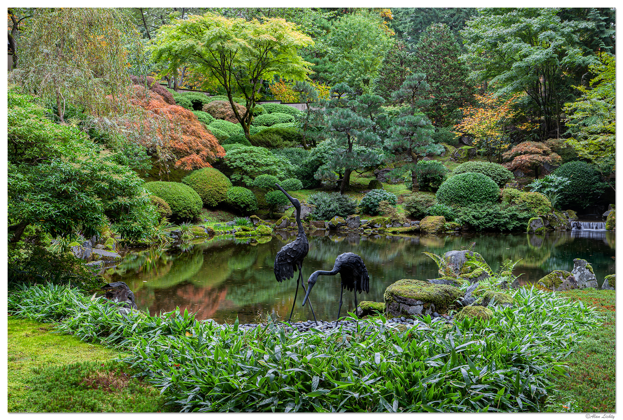 PJG-StrollingPond102211.jpg