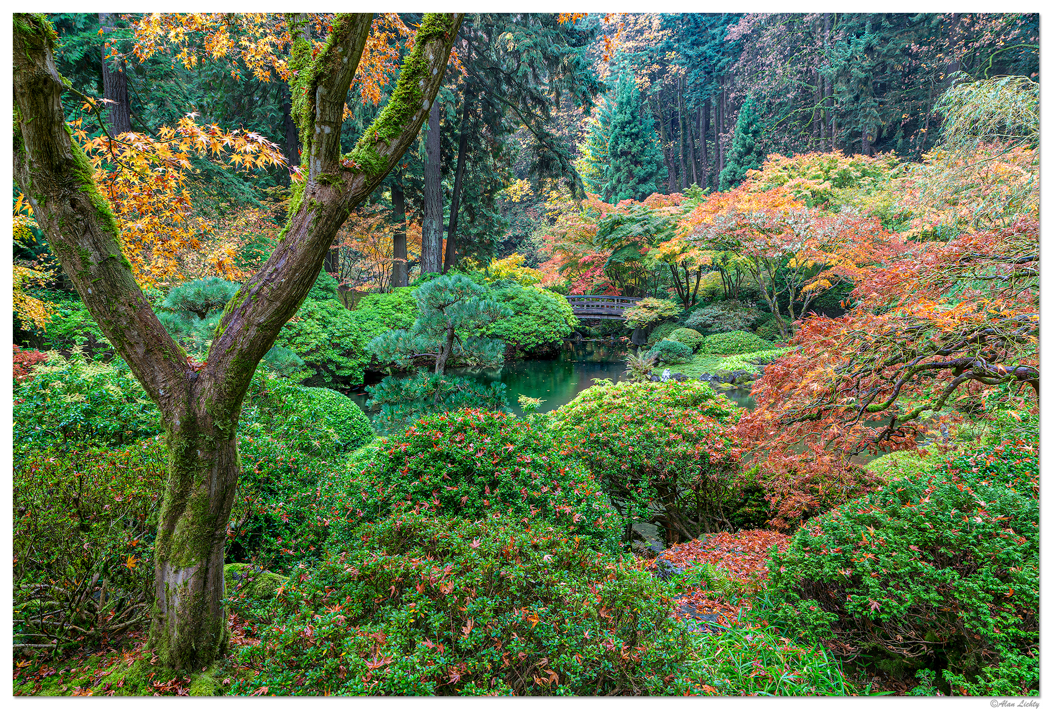 PJG-StrollingPond102713.jpg
