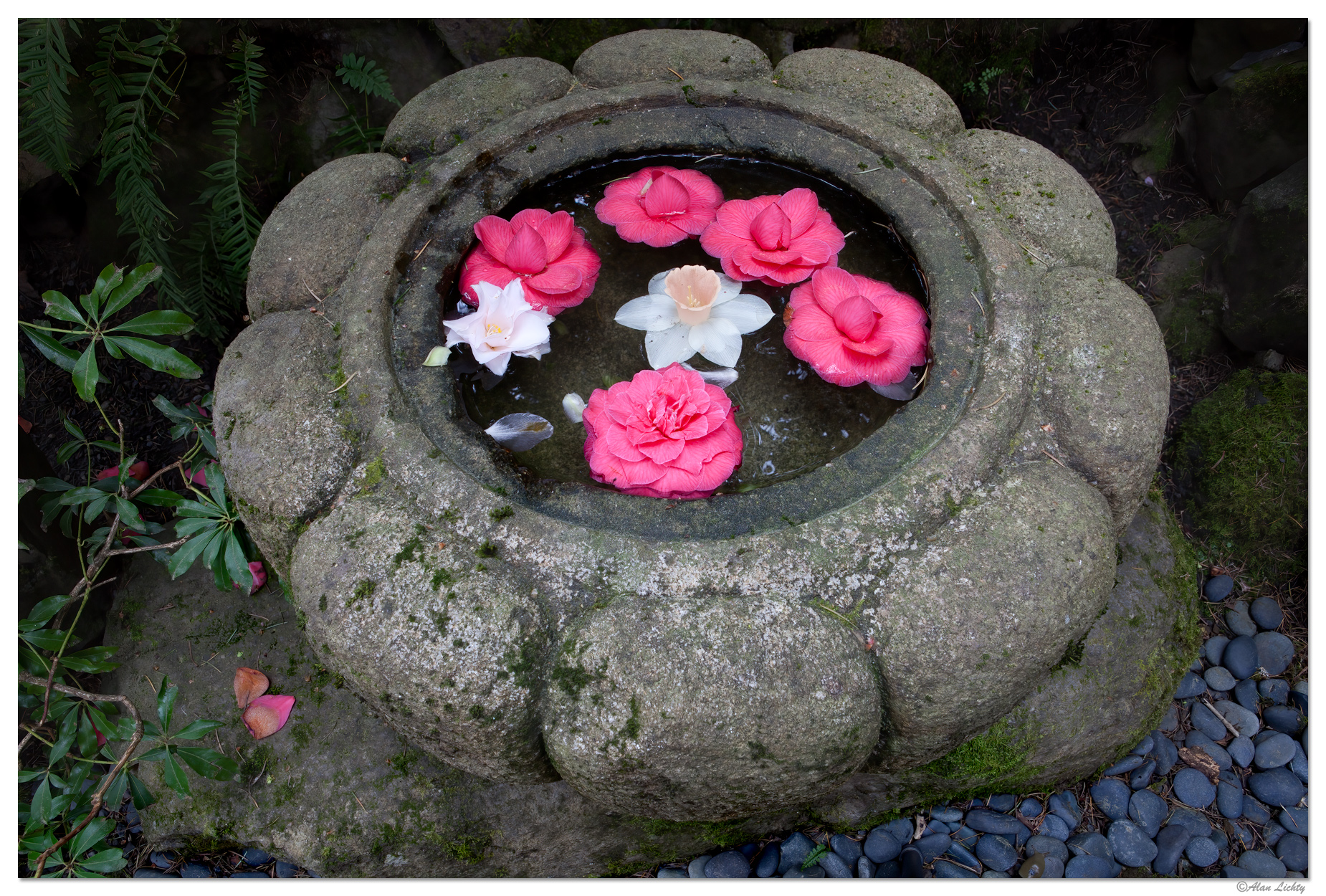 Portland Japanese Garden Entrance Bouquet