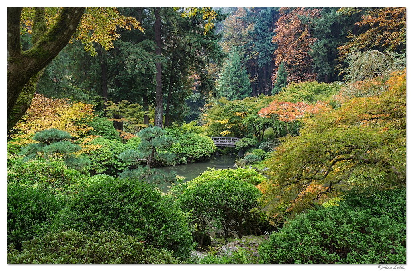 Portland Japanese Garden Lets Play