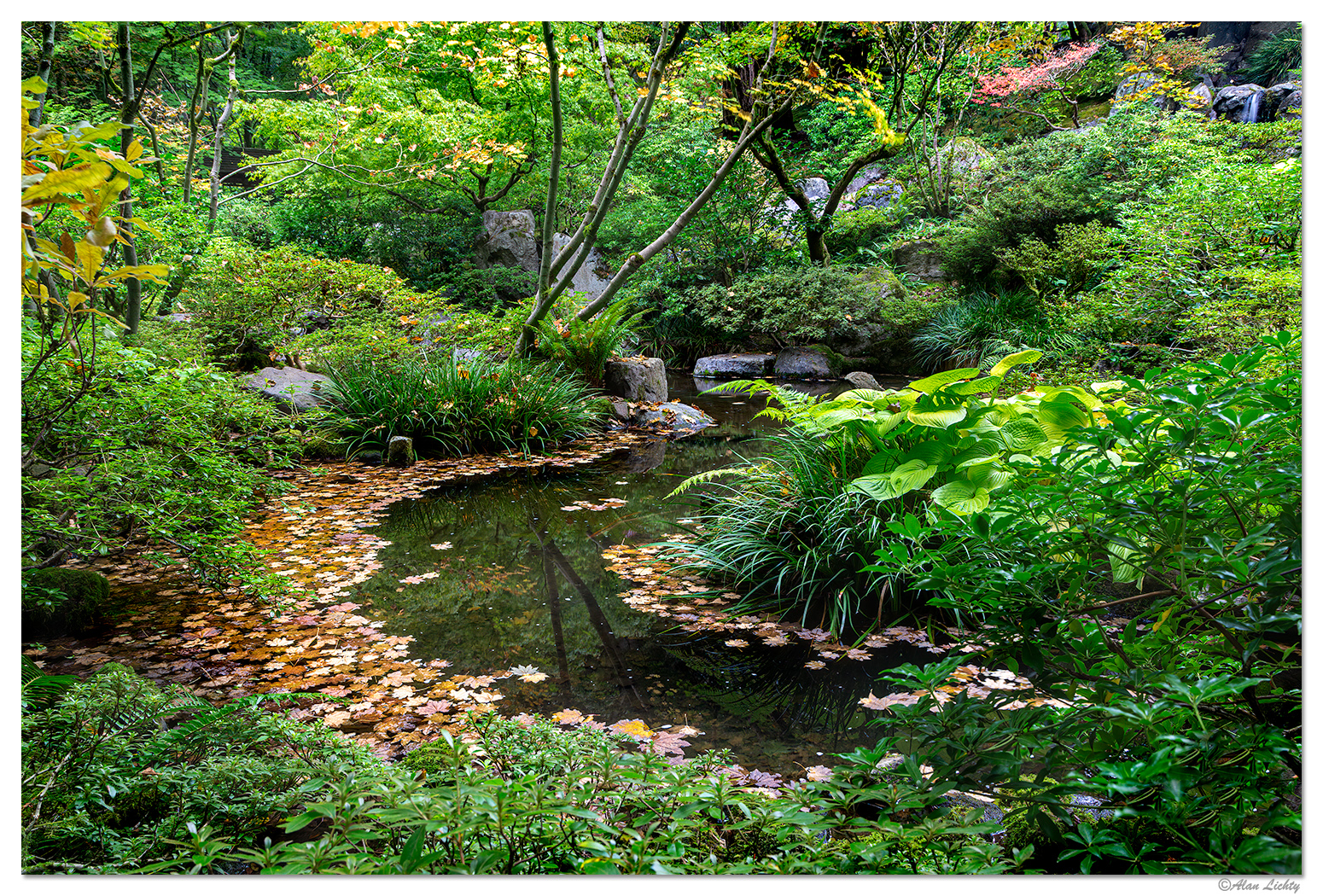 Portland Japanese Garden - Natural Area