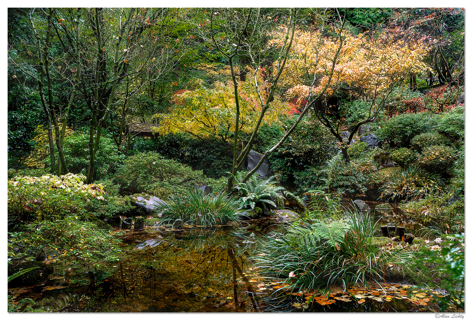 Portland Japanese Garden