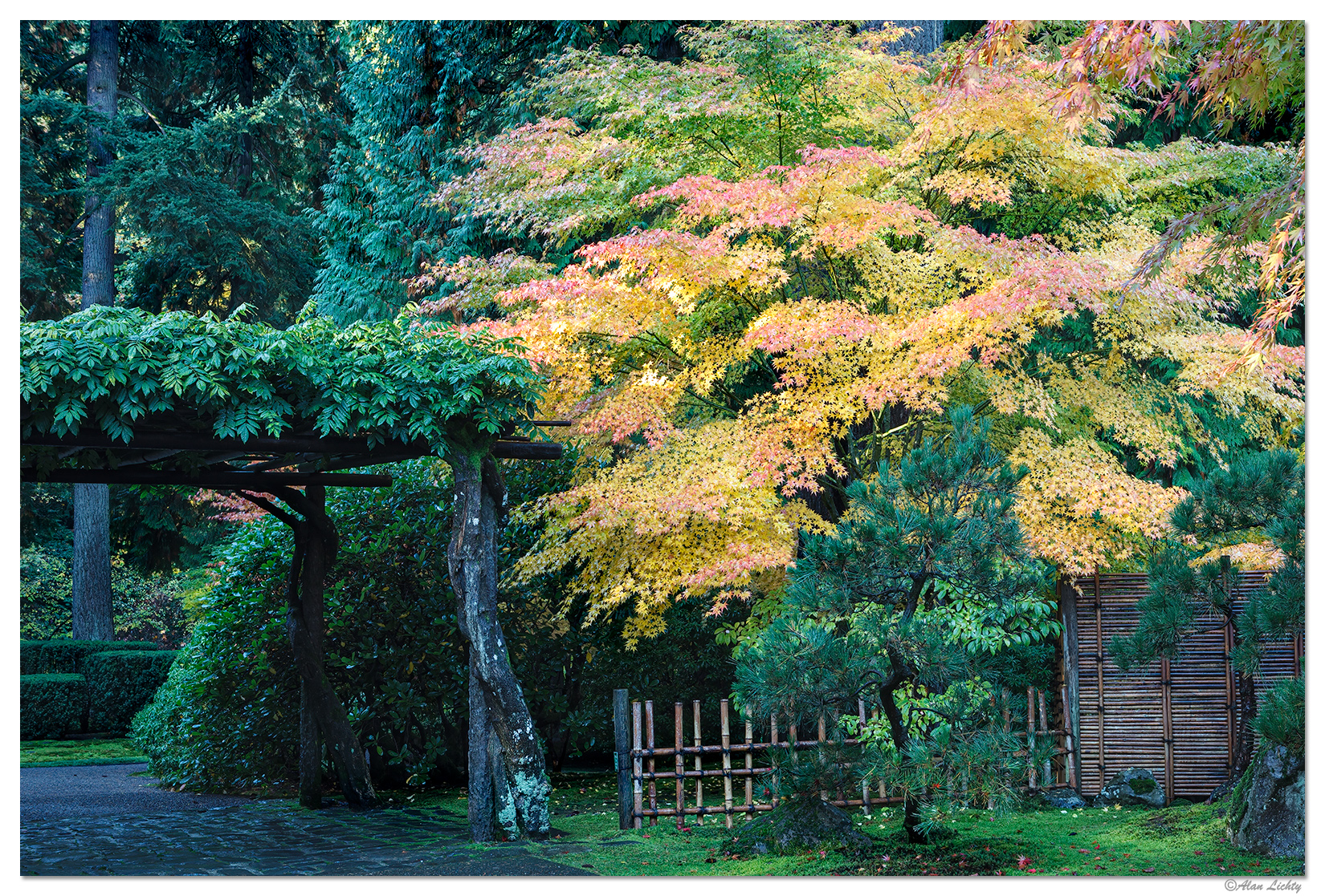 Portland Japanese Garden