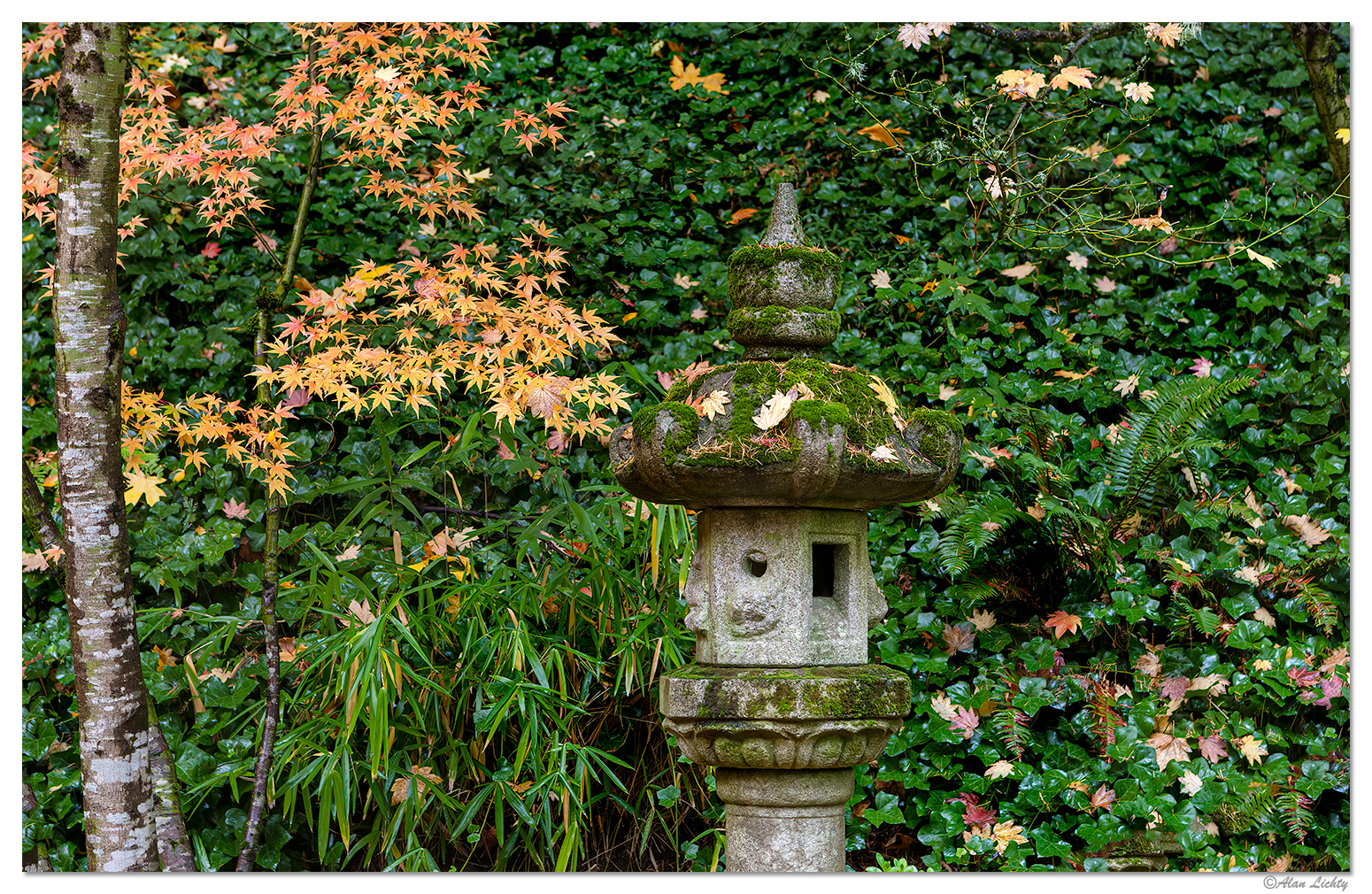 Portland Japanese Garden