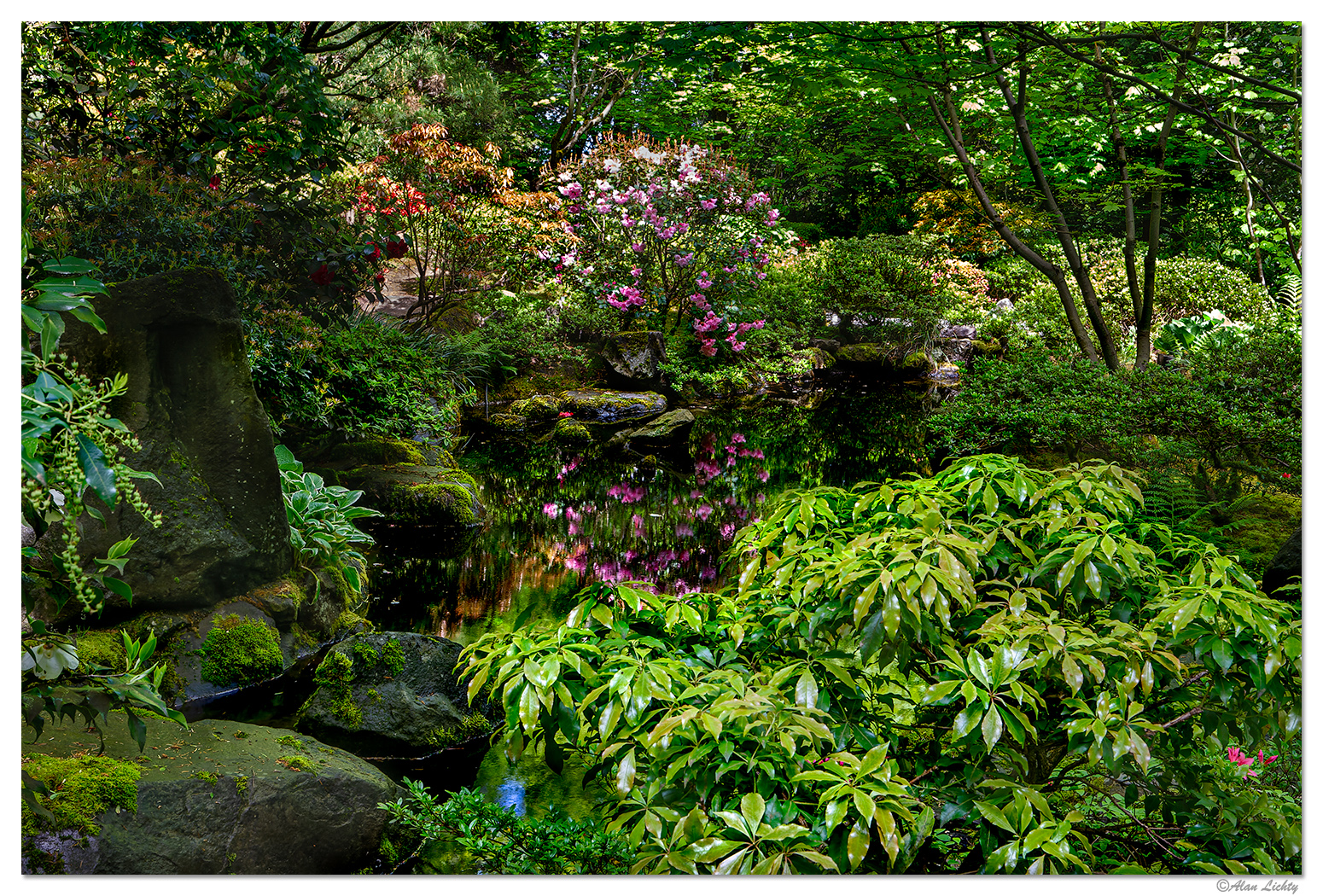 Portland Japanese Garden