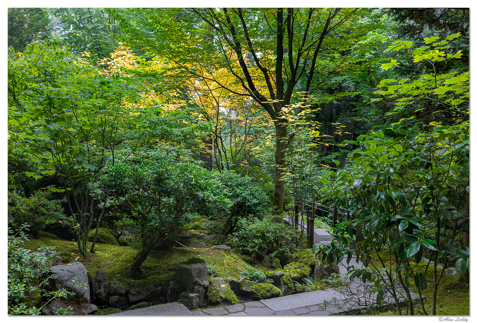 Portland Japanese Garden